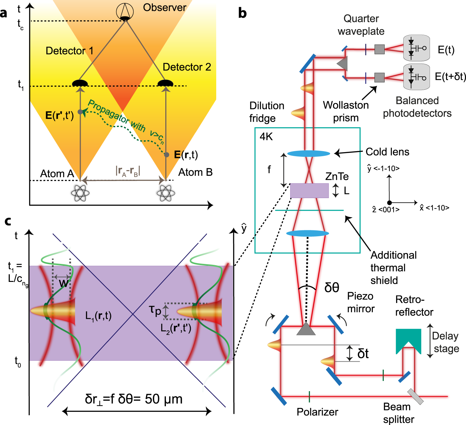 Detection of quantum-vacuum field correlations outside the light cone