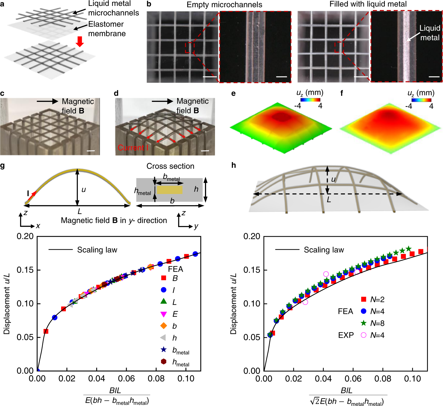 Soft shape-programmable surfaces by fast electromagnetic actuation of  liquid metal networks | Nature Communications