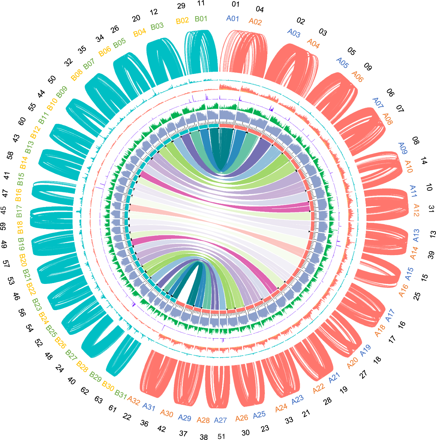 Chromosome-level and haplotype-resolved genome provides insight into the  tetraploid hybrid origin of patchouli | Nature Communications