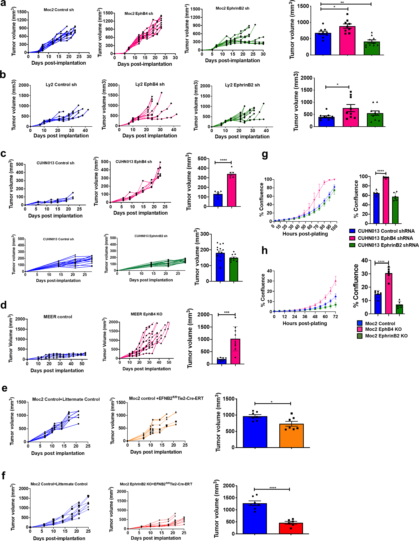 Fig. 2: Loss of ephrinB2 in both the cancer cells and the vasculature inhibits tumor growth while knockdown of EphB4 promotes tumor growth progression in orthotopic and xenograft models of HNSCC.