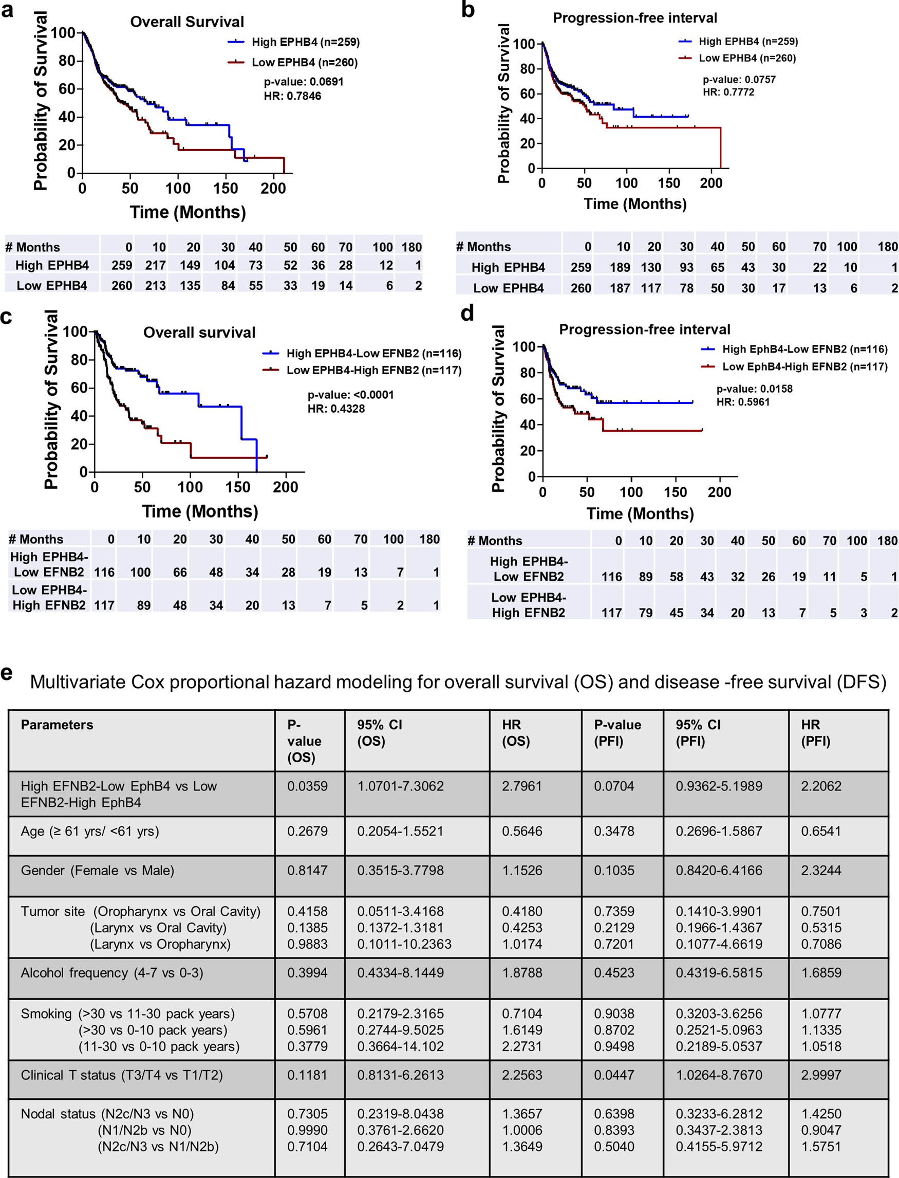 Fig. 9: High EPHB4-low EFNB2 correlates with better overall and disease-free survival in HNSCC patients.
