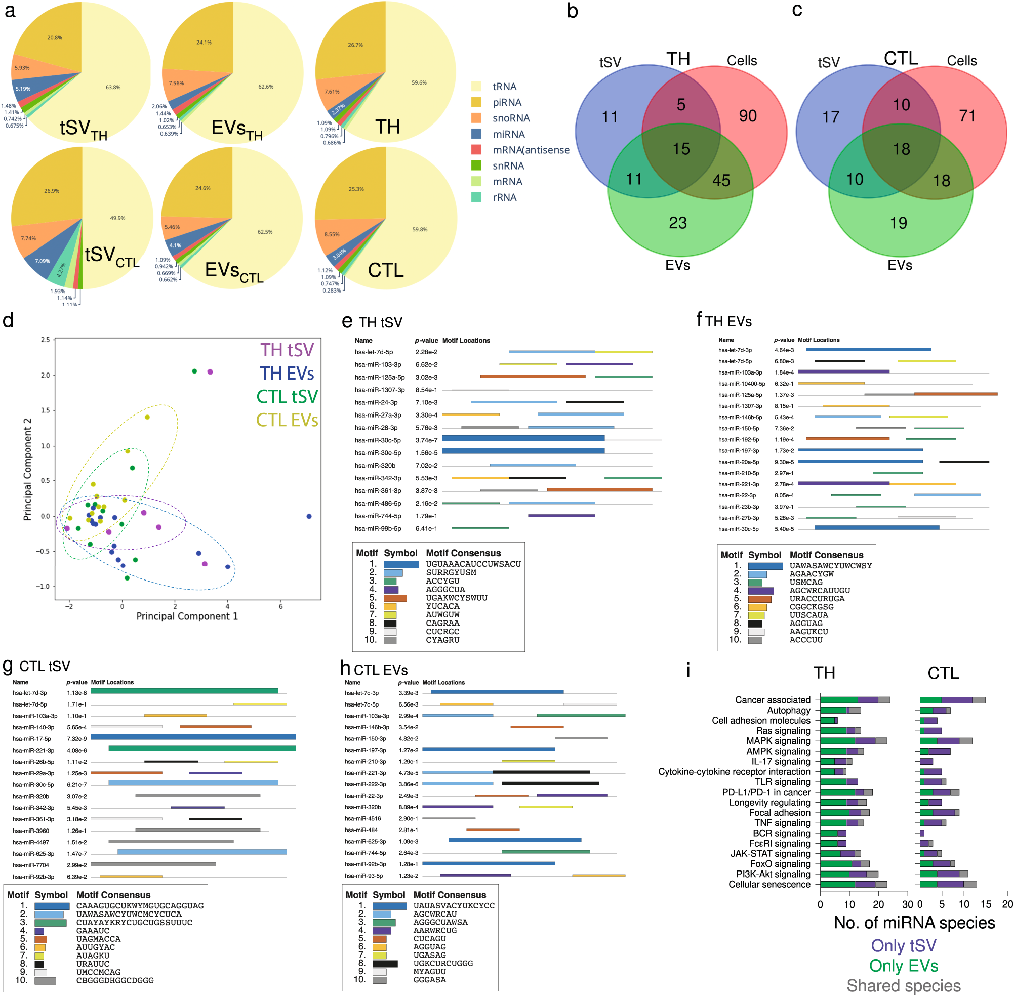 Fig. 7: tSV are enriched in miRs with considerable functional equivalence to EVs miRs.