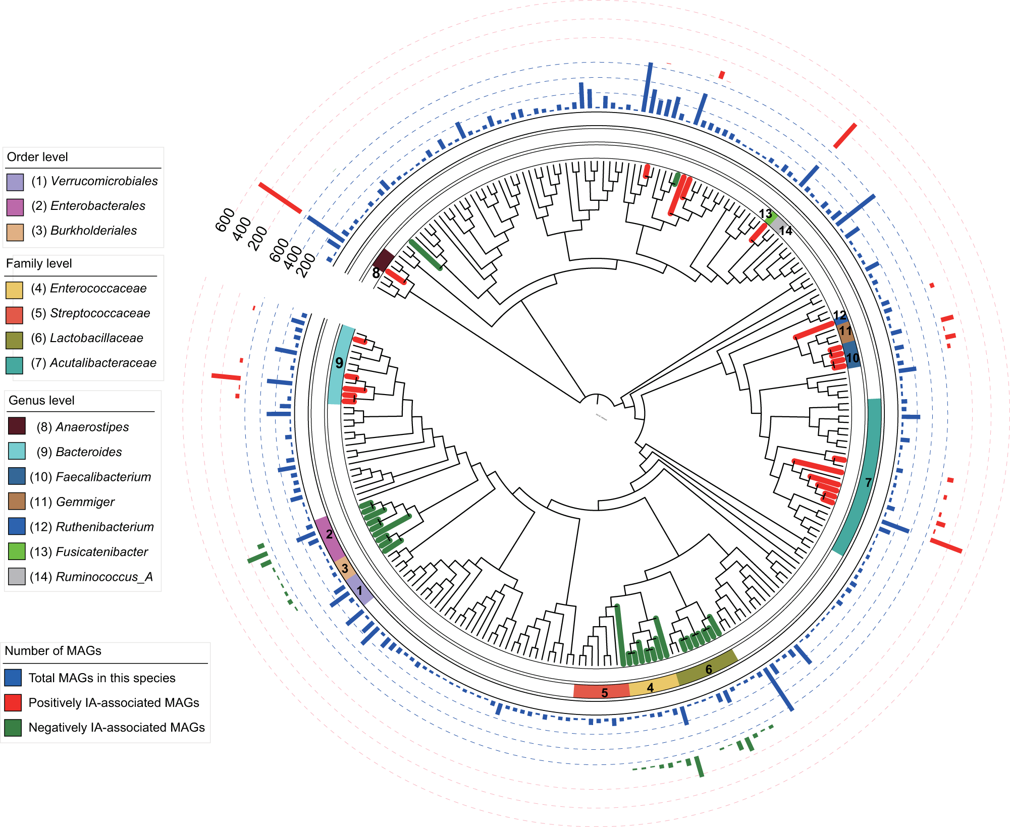 Fig. 4: Taxonomy distribution of MAGs positively or negatively associated with seroconversion.