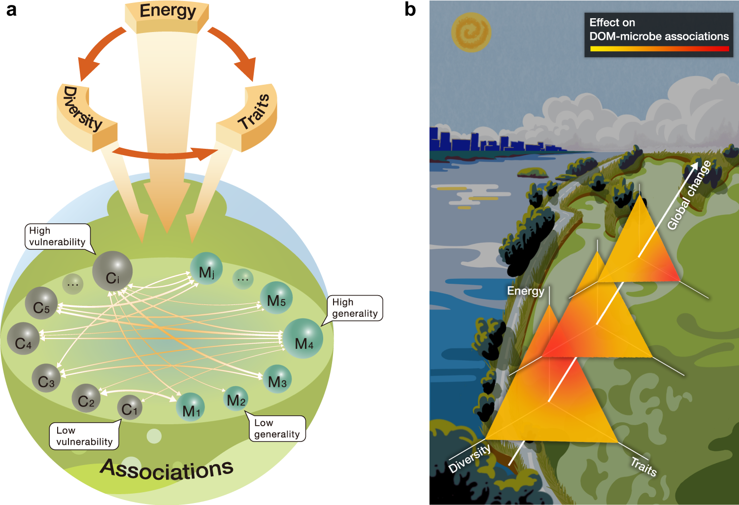 Ecological networks of dissolved organic matter and microorganisms under  global change | Nature Communications