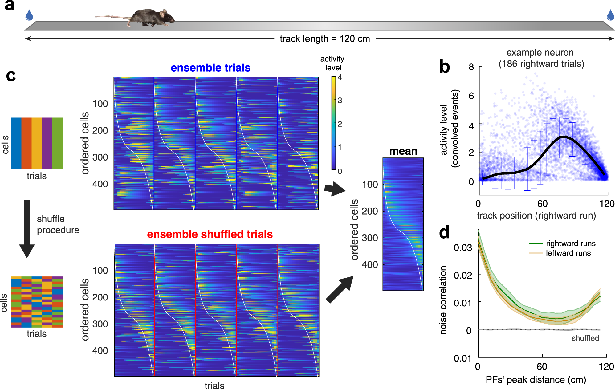 a) and (b) show the 50% white noise generated by a random number