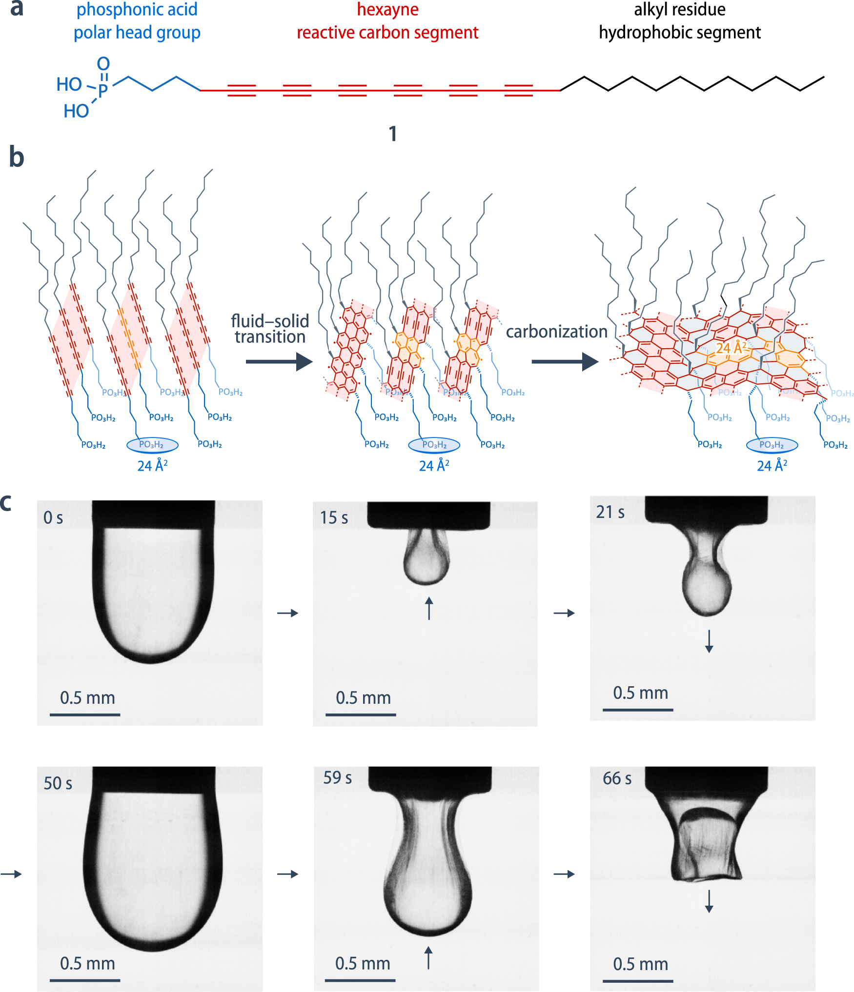 Spontaneous formation of a self-healing carbon nanoskin at the  liquid–liquid interface | Nature Communications