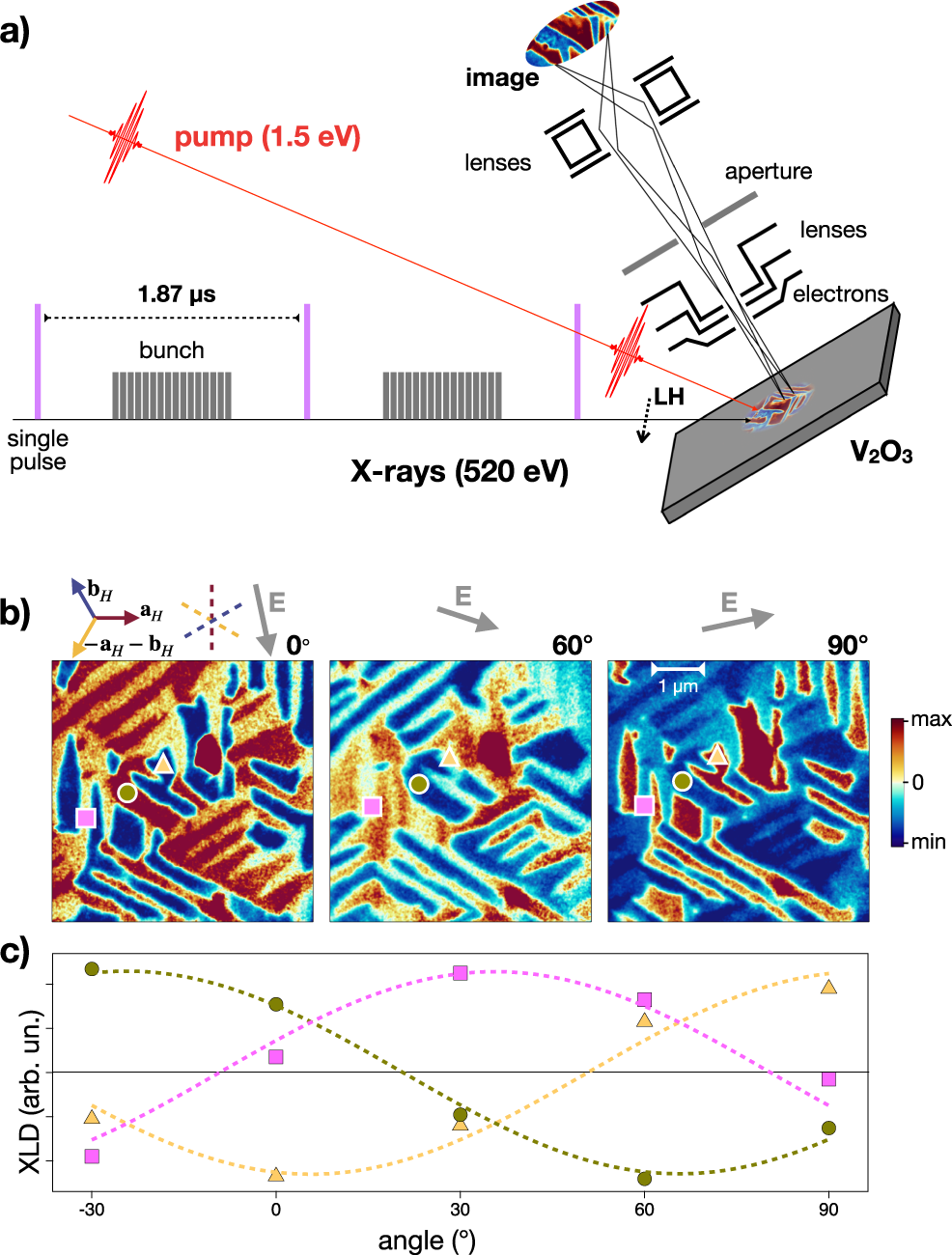 Fig. 3: X-ray microscopy.