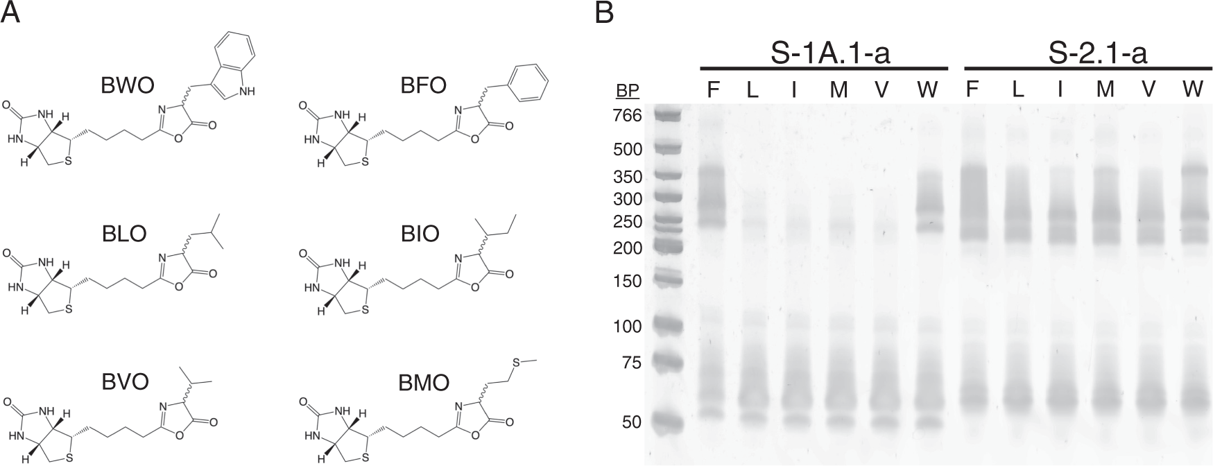 Emergent properties as by-products of prebiotic evolution of aminoacylation  ribozymes | Nature Communications