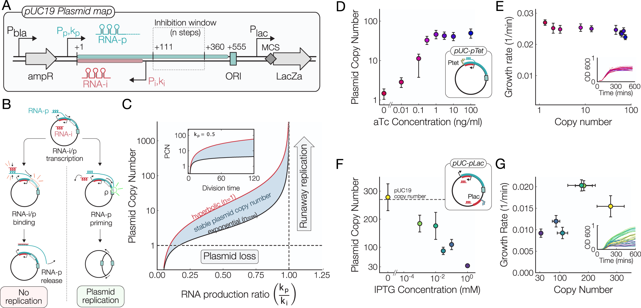 A plasmid system with tunable copy number | Nature Communications