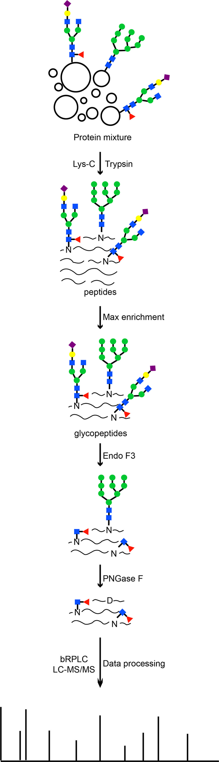 Fig. 1: Schematic diagram of the workflow of the STAGE method.