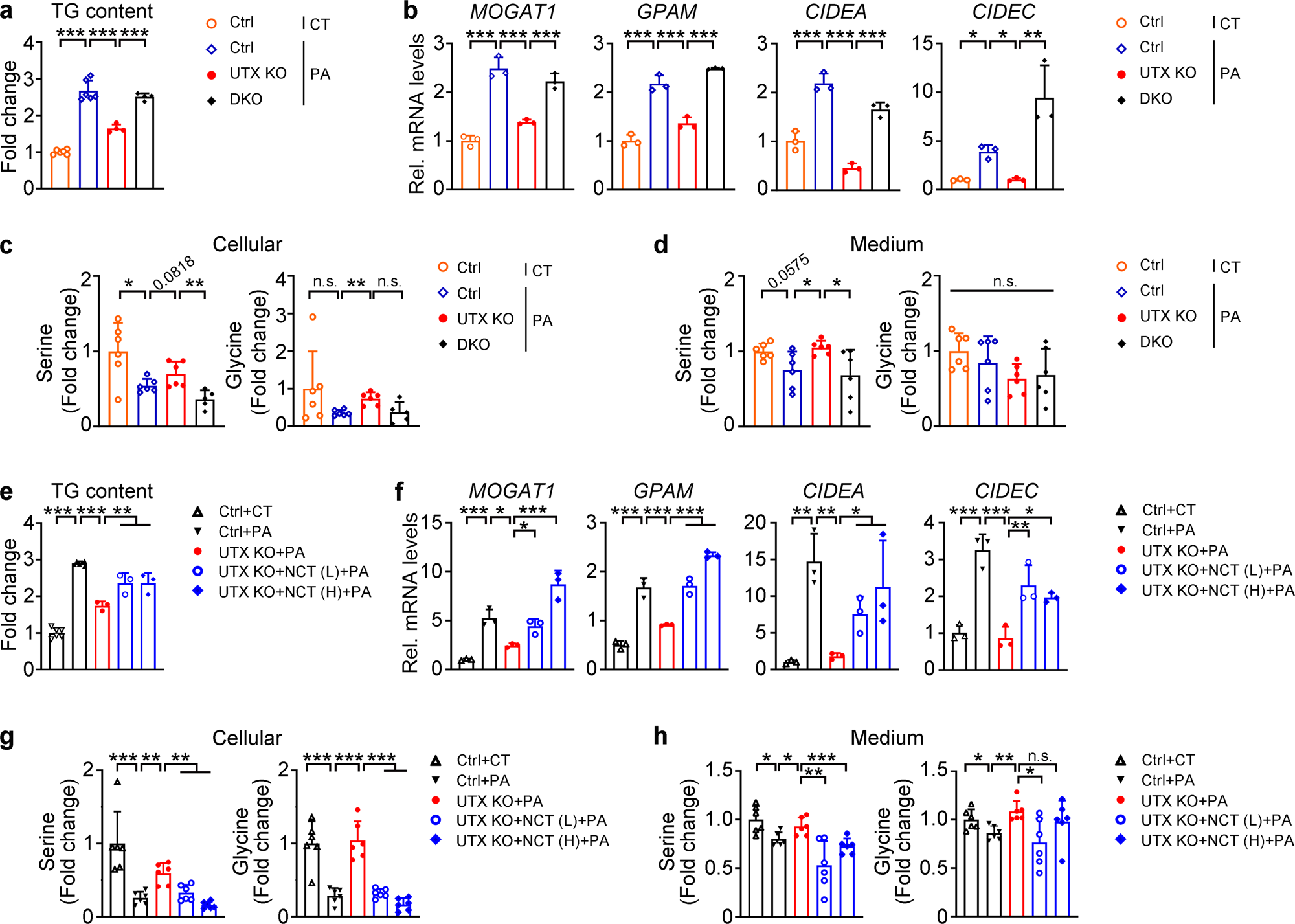 Fig. 7: UTX regulated lipid level through enzymatic activity of PHGDH in cultured renal cells.