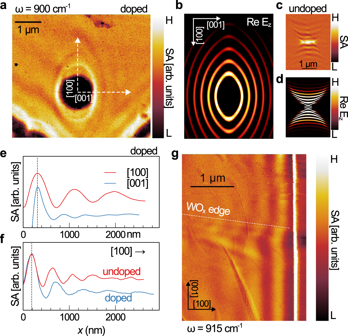 Fig. 2: Near-field infrared imaging of hybrid plasmon-phonon modes.