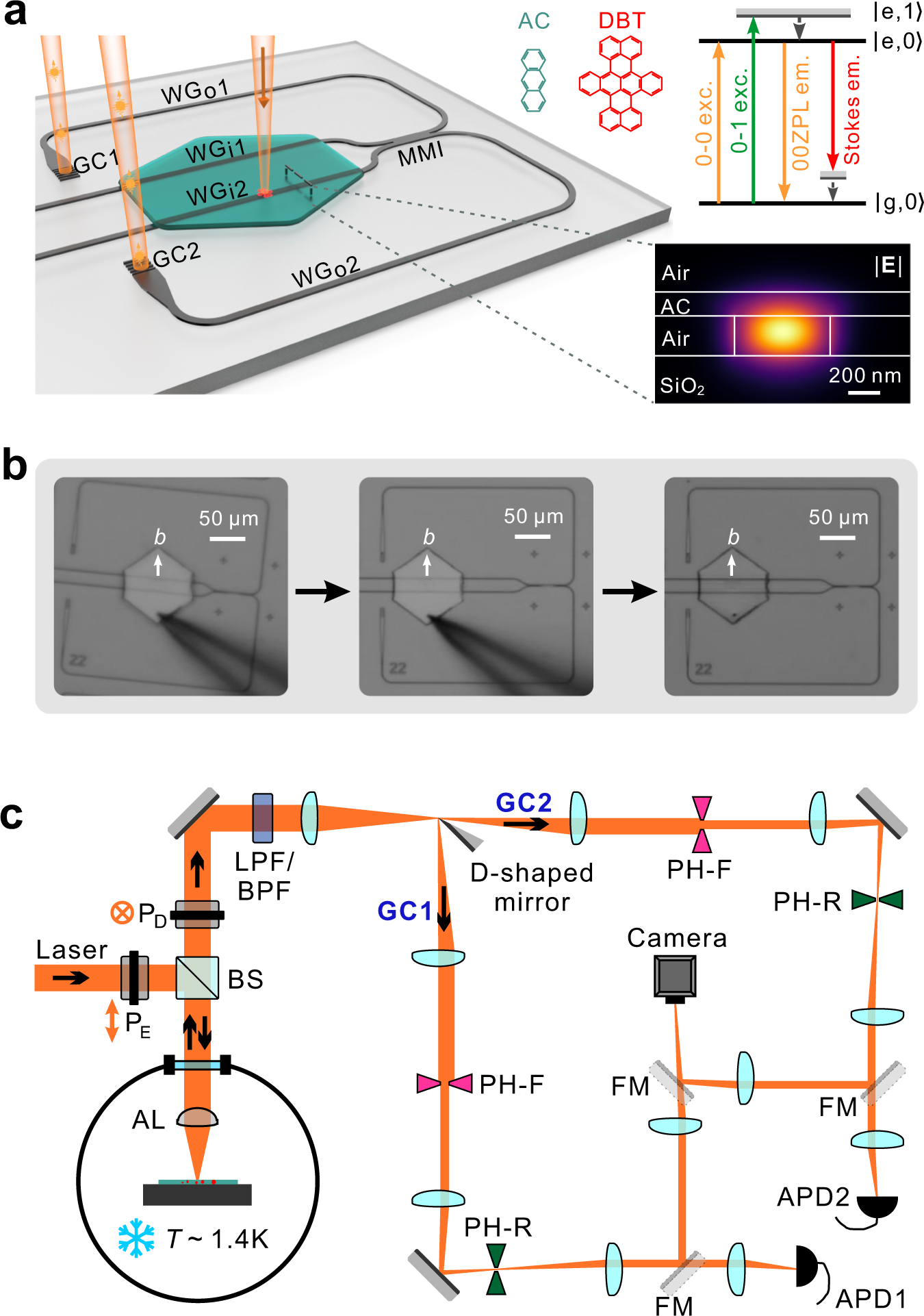Fig. 1: An organic-inorganic hybrid integrated quantum photonic platform and the experimental setup.