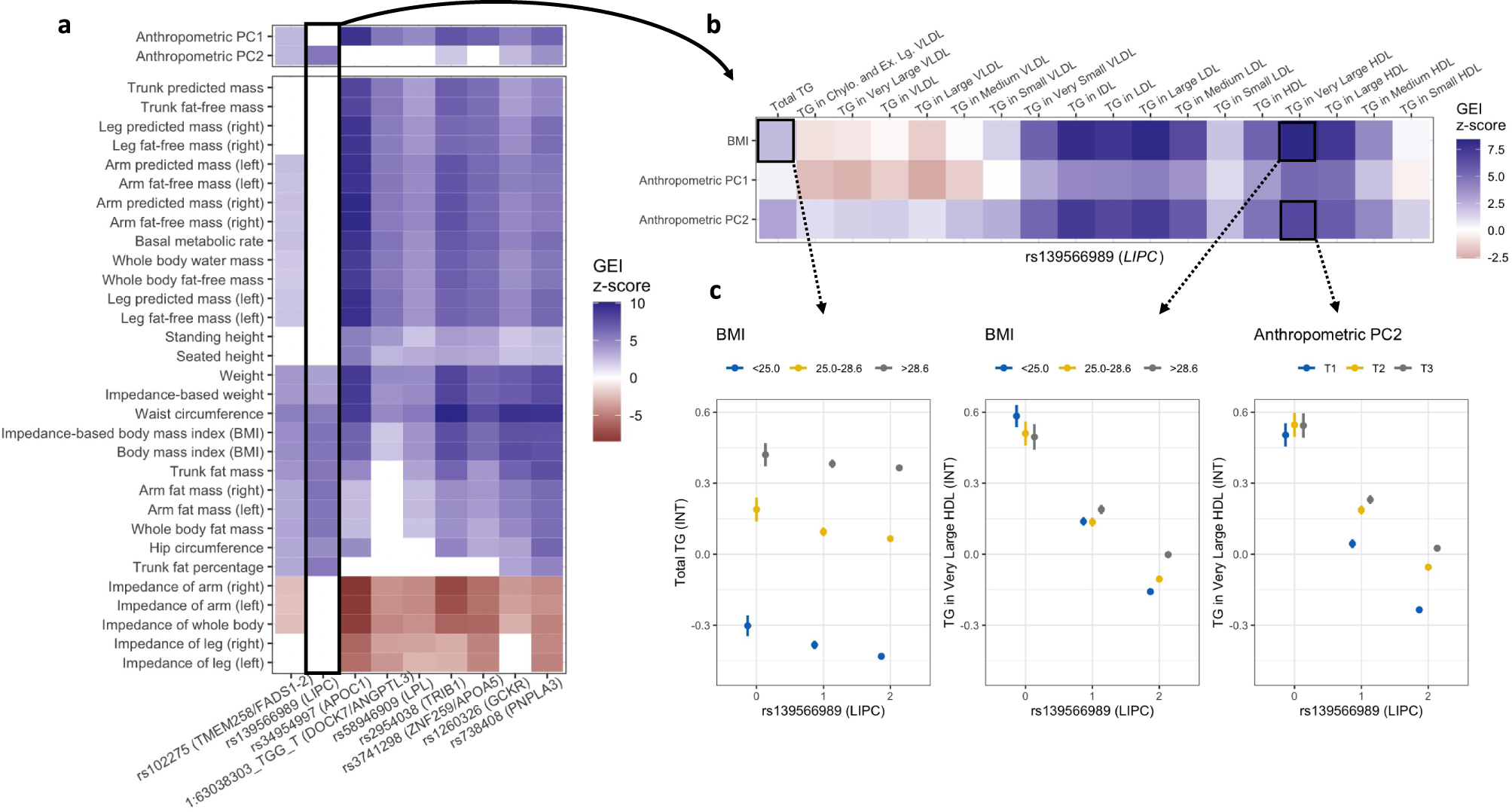 Fig. 4: Exploration of anthropometric interactions influencing triglycerides.