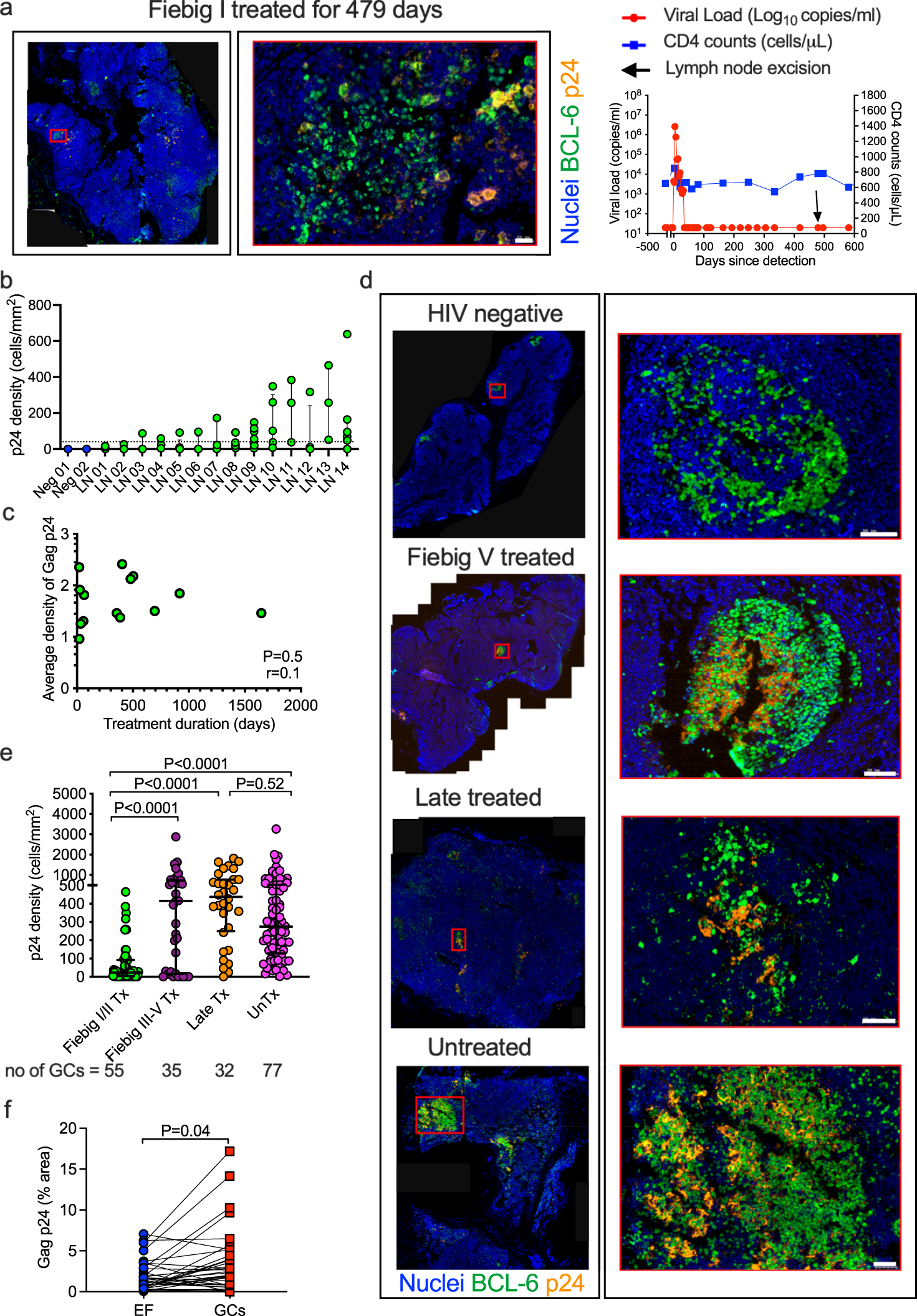 Kzn Schoolgirl Sex Vids - CD8 lymphocytes mitigate HIV-1 persistence in lymph node follicular helper  T cells during hyperacute-treated infection | Nature Communications