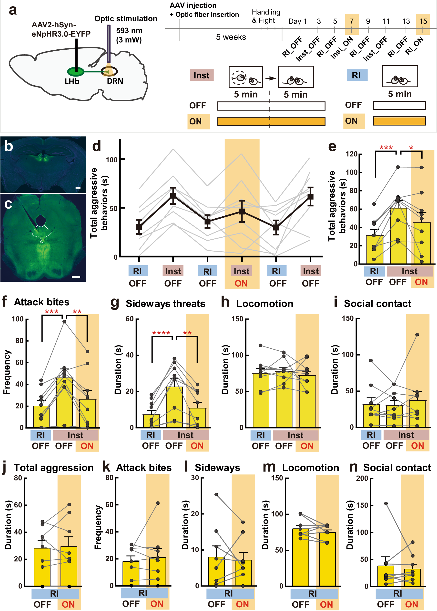 Fig. 4: Optogenetic inhibition of LHb-DRN projection neurons and instigation-heightened aggression.