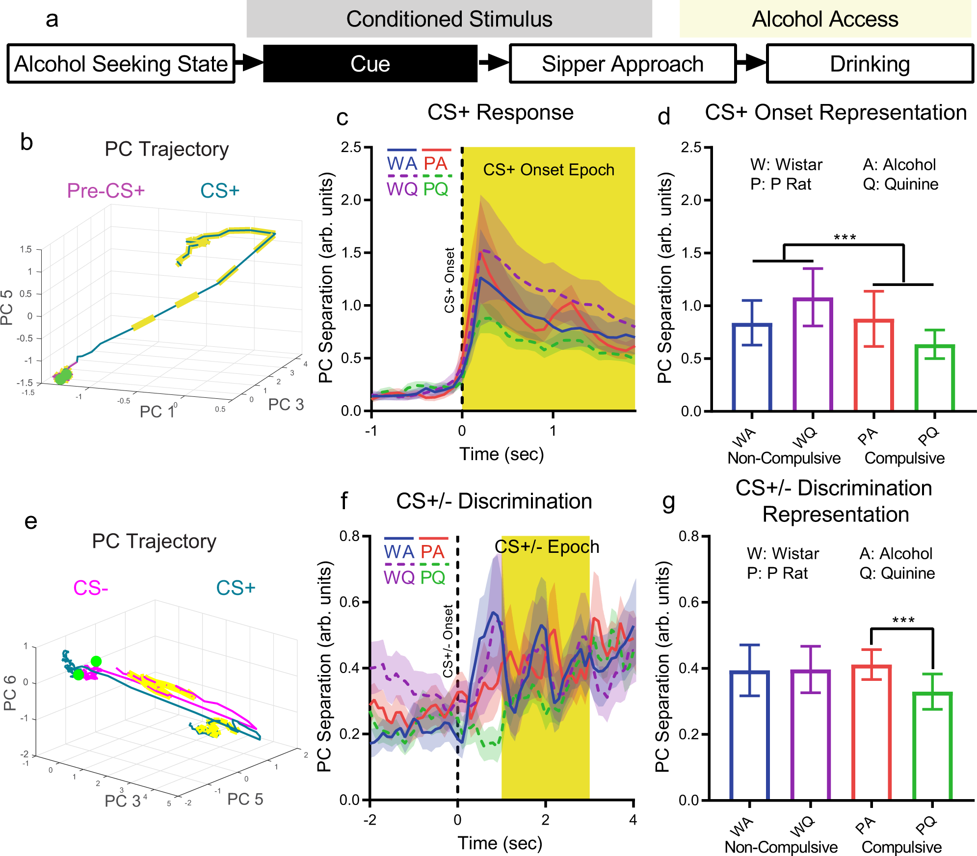 Fig. 4: Challenged drinking improved or maintained cue representation in non-compulsive rats, but weakened cue representation strength in compulsive rats.