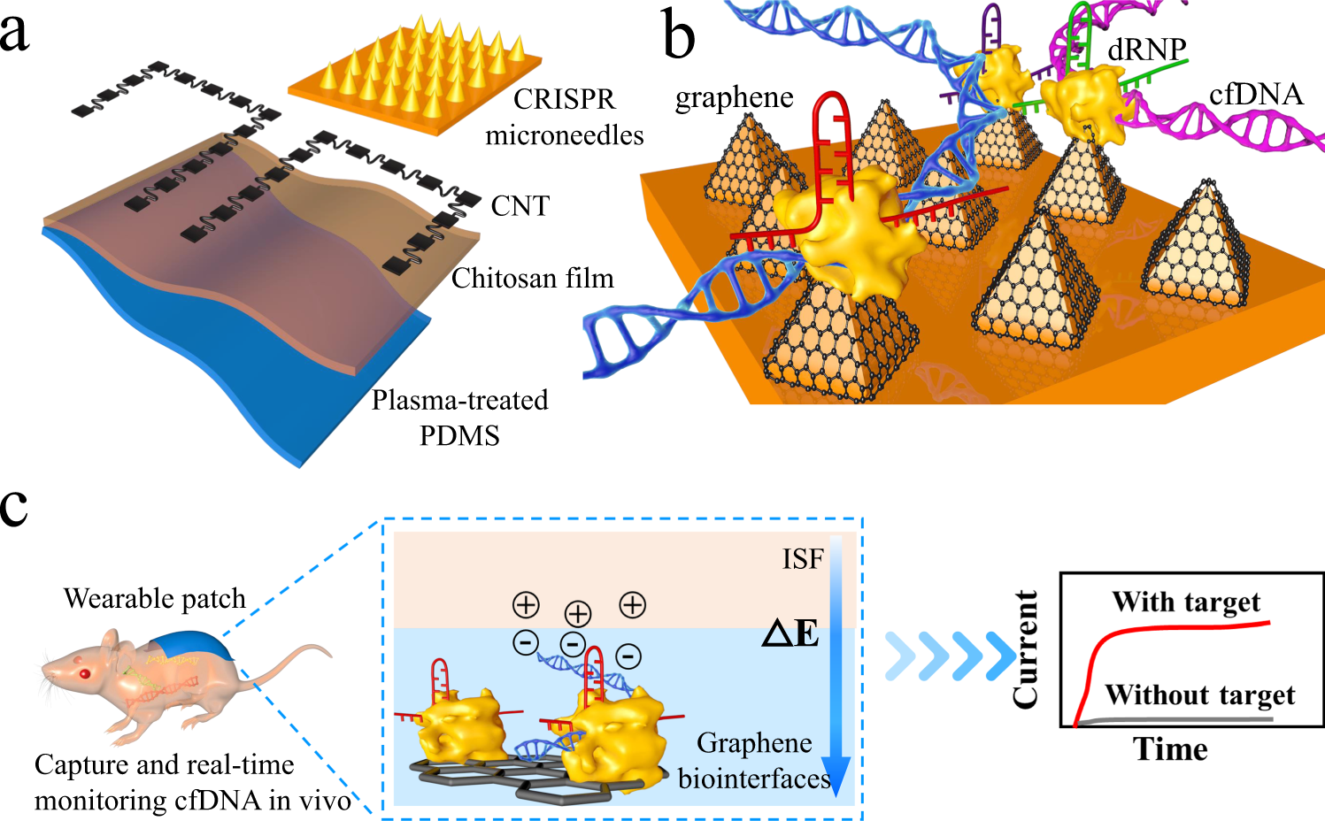 Programmable CRISPR-Cas9 microneedle patch for long-term capture