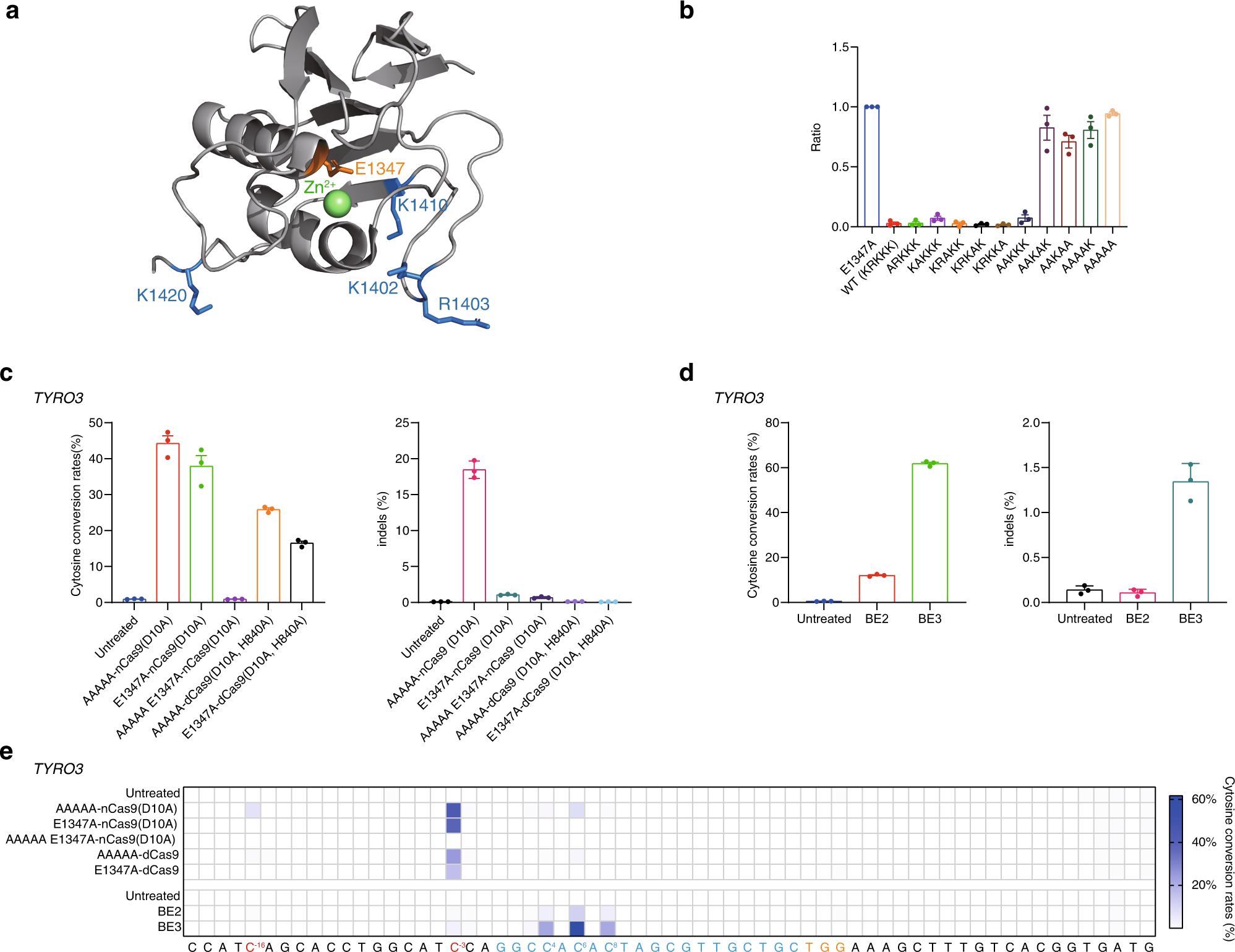 Fig. 1: Characterization of DddAtox variants derived from structure-based screening.