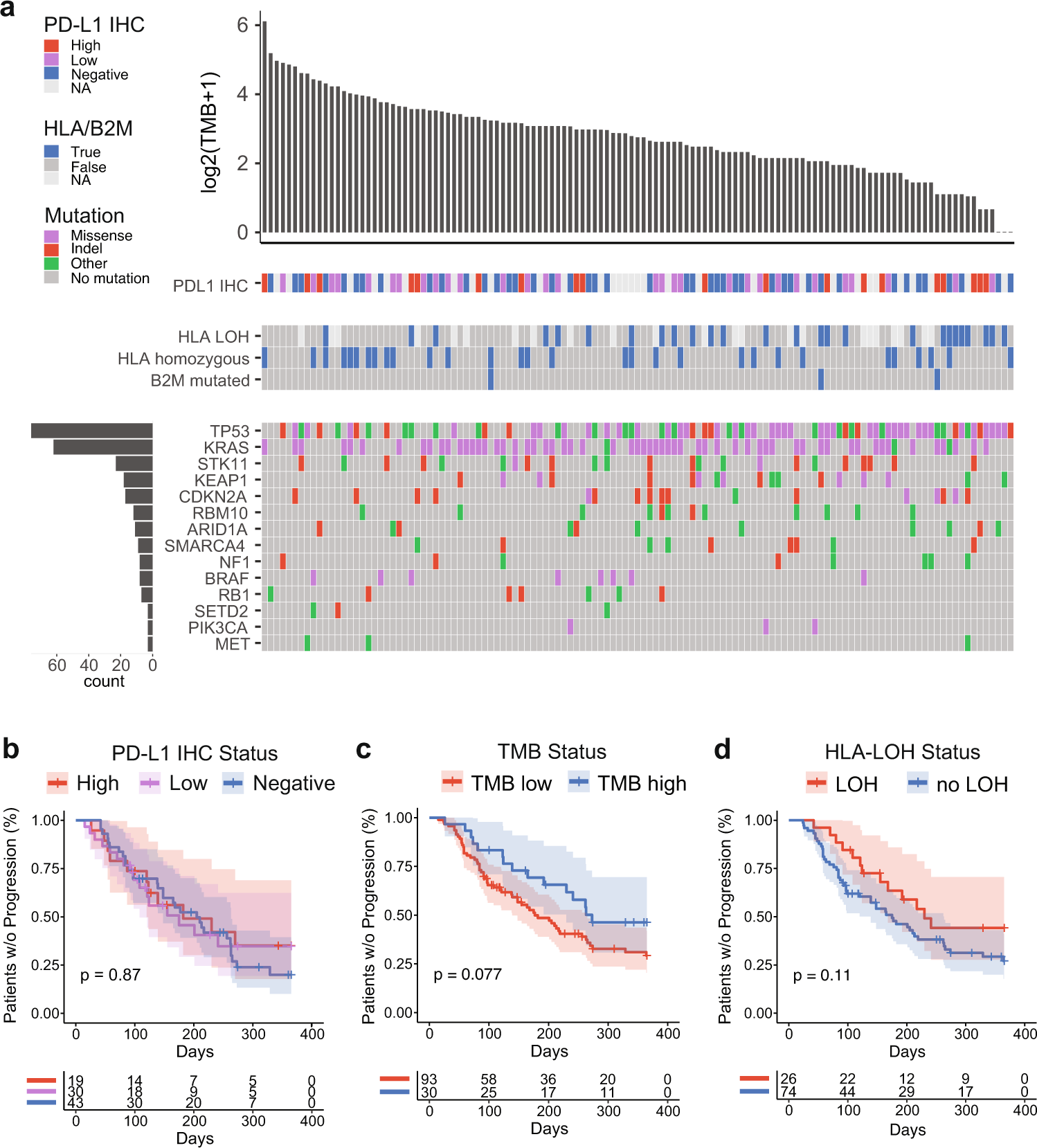 Fig. 1: Cohort clinical and genomic characteristics.