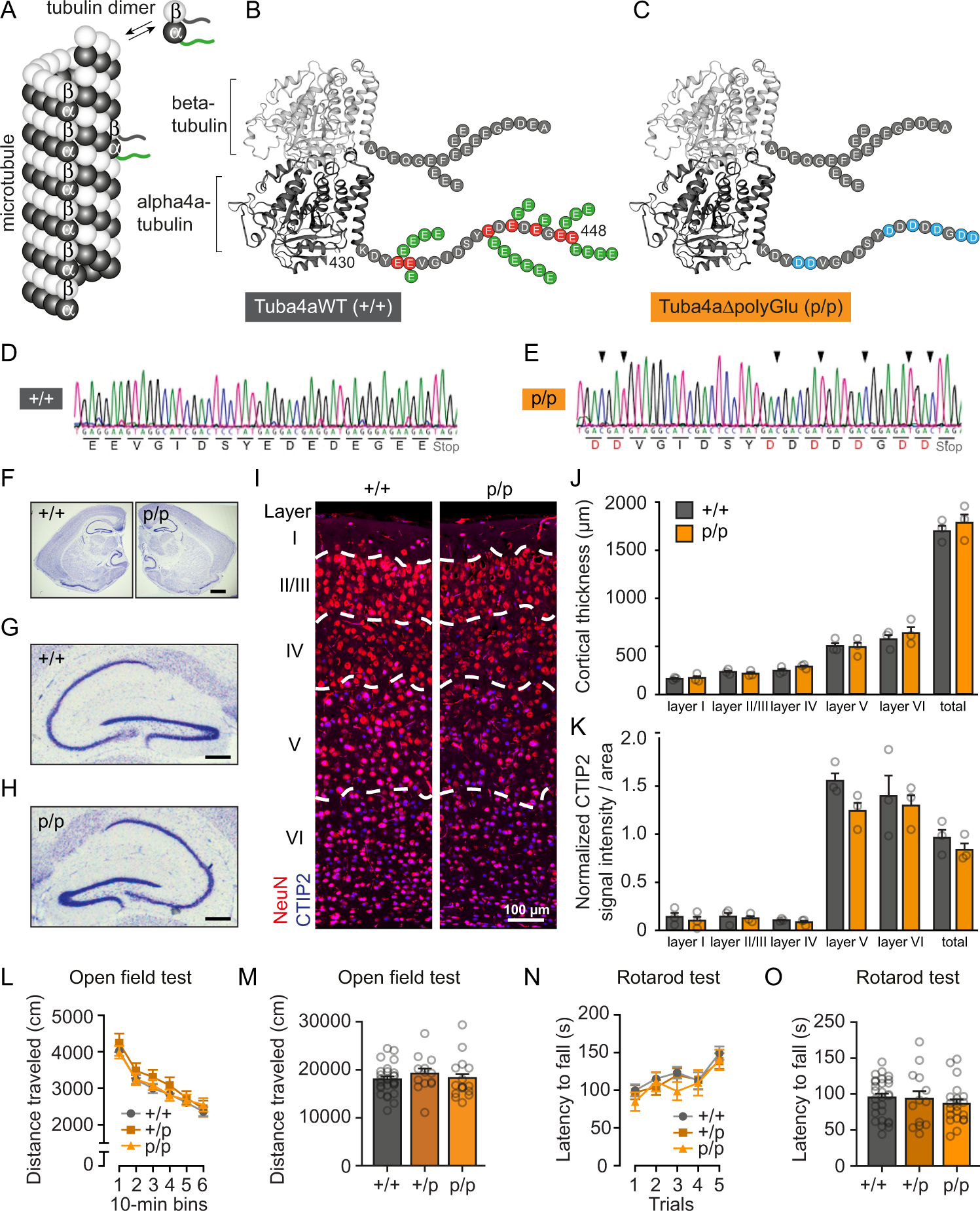 Disruption of tubulin-alpha4a polyglutamylation prevents aggregation of  hyper-phosphorylated tau and microglia activation in mice | Nature  Communications