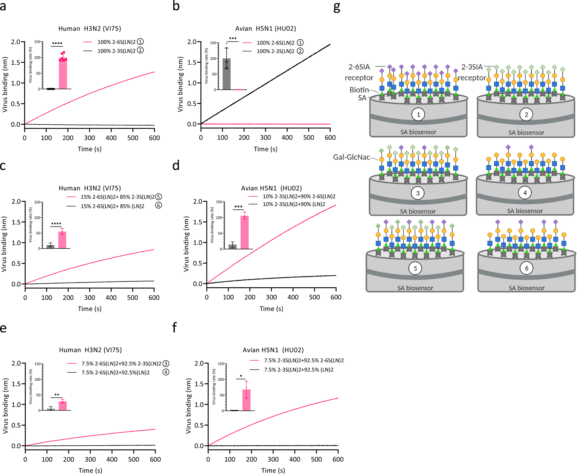 Fig. 1: Low-affinity receptors enhance IAV binding rate in presence of a low density of high-affinity receptors.