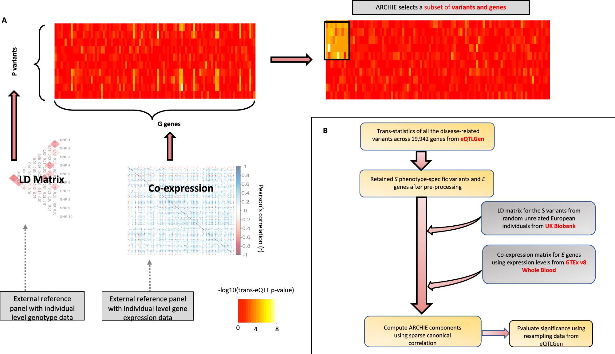 Fig. 1: Overview of ARCHIE and Analysis pipeline.