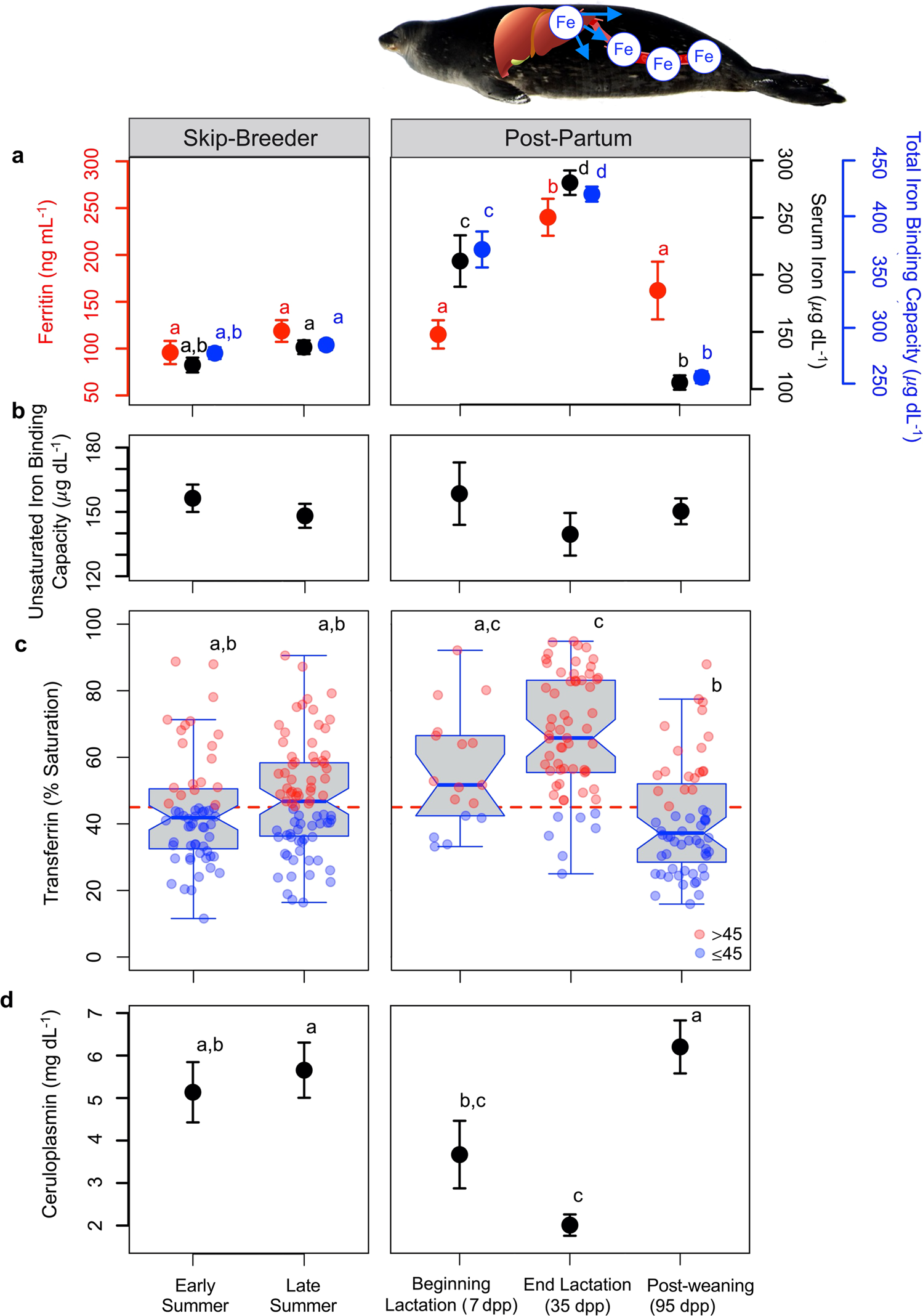 Iron Mobilization During Lactation Reduces Oxygen Stores In A Diving Mammal Nature Communications