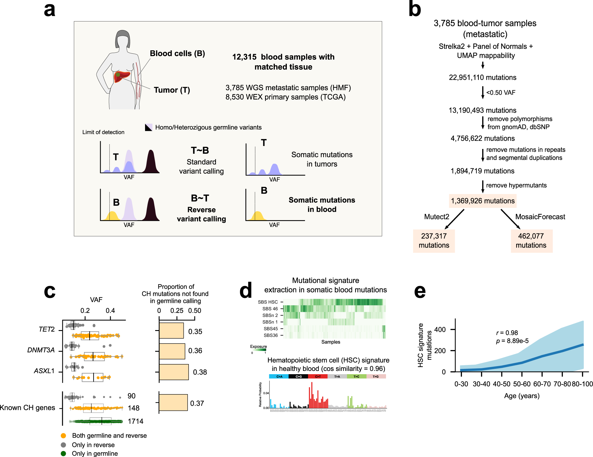 DREAMS: deep read-level error model for sequencing data applied to  low-frequency variant calling and circulating tumor DNA detection, Genome  Biology