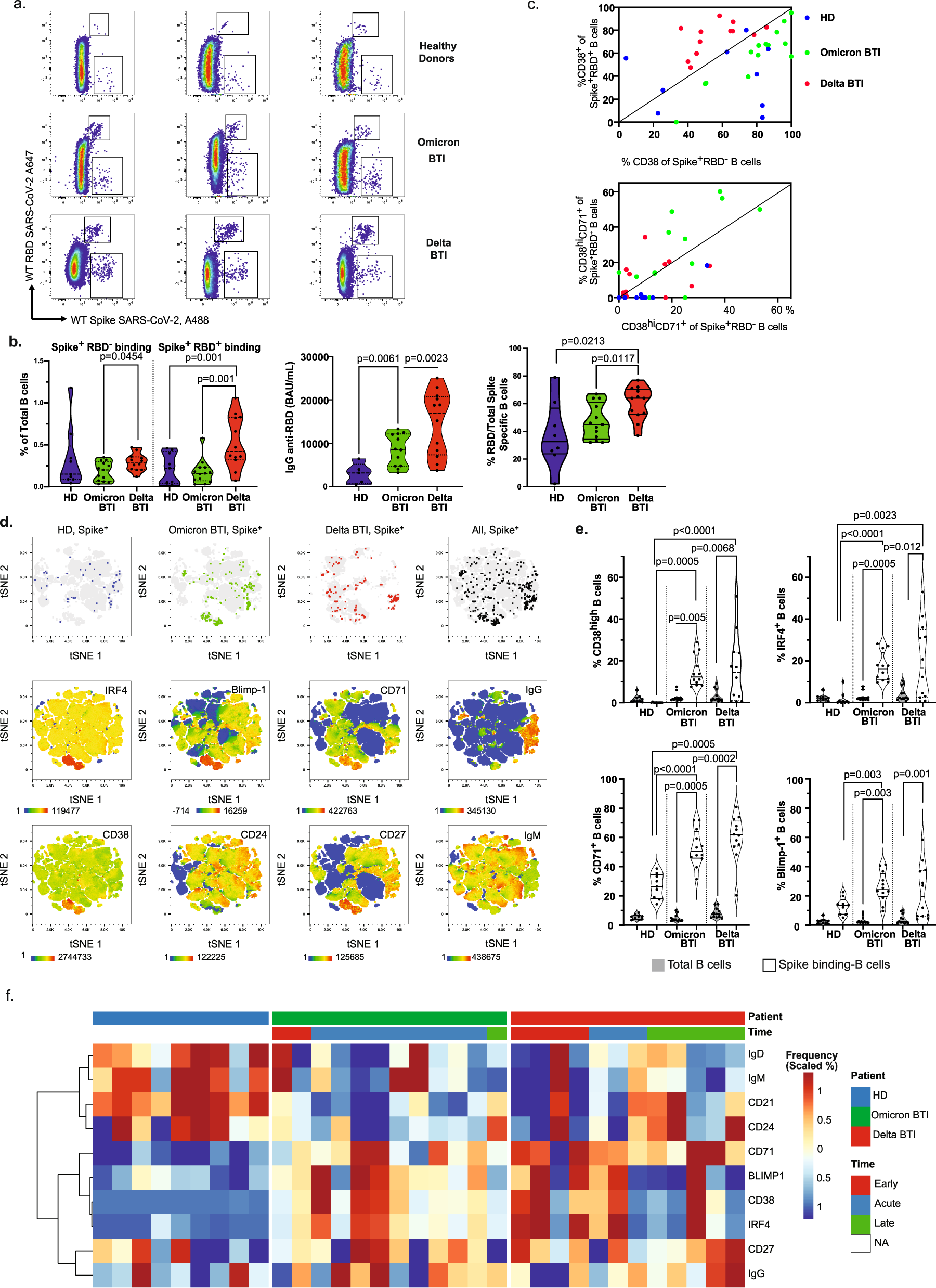 Fig. 3: Humoral and B cell immunity during Omicron and Delta breakthrough infection.