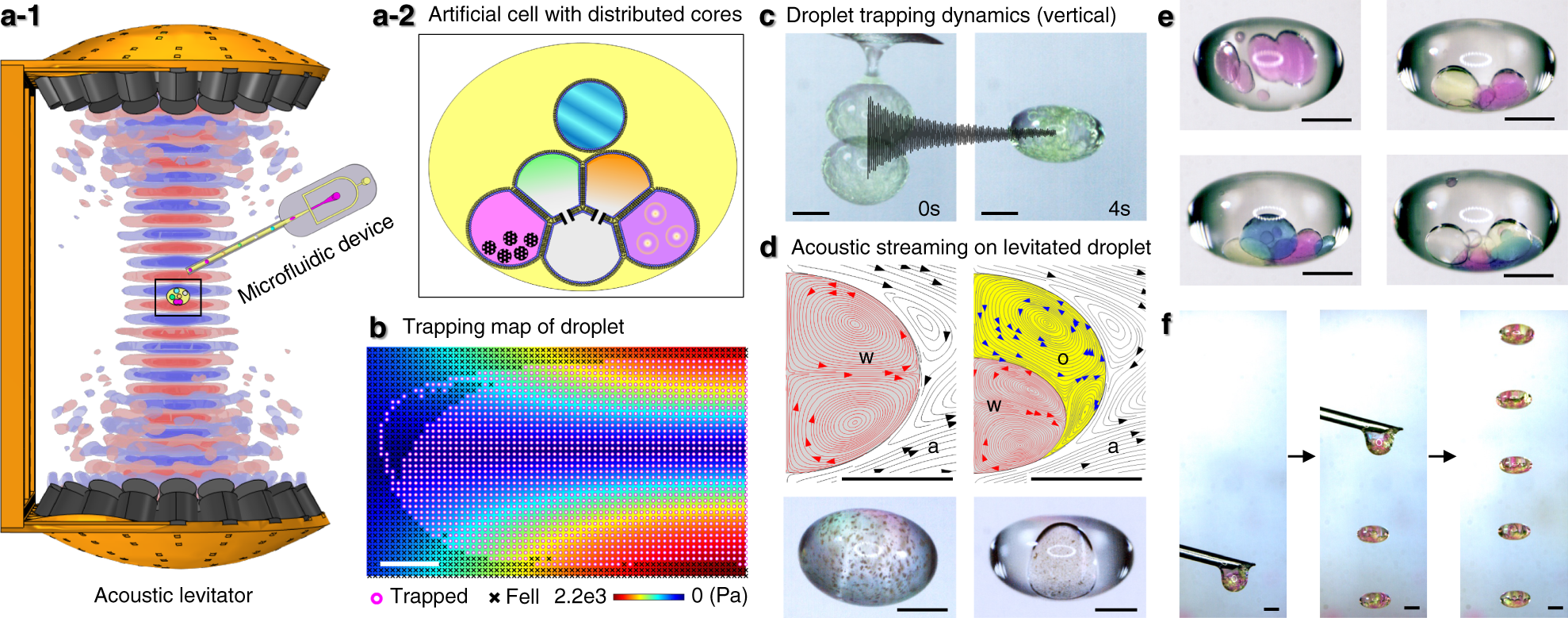Building programmable multicompartment artificial cells incorporating  remotely activated protein channels using microfluidics and acoustic  levitation | Nature Communications