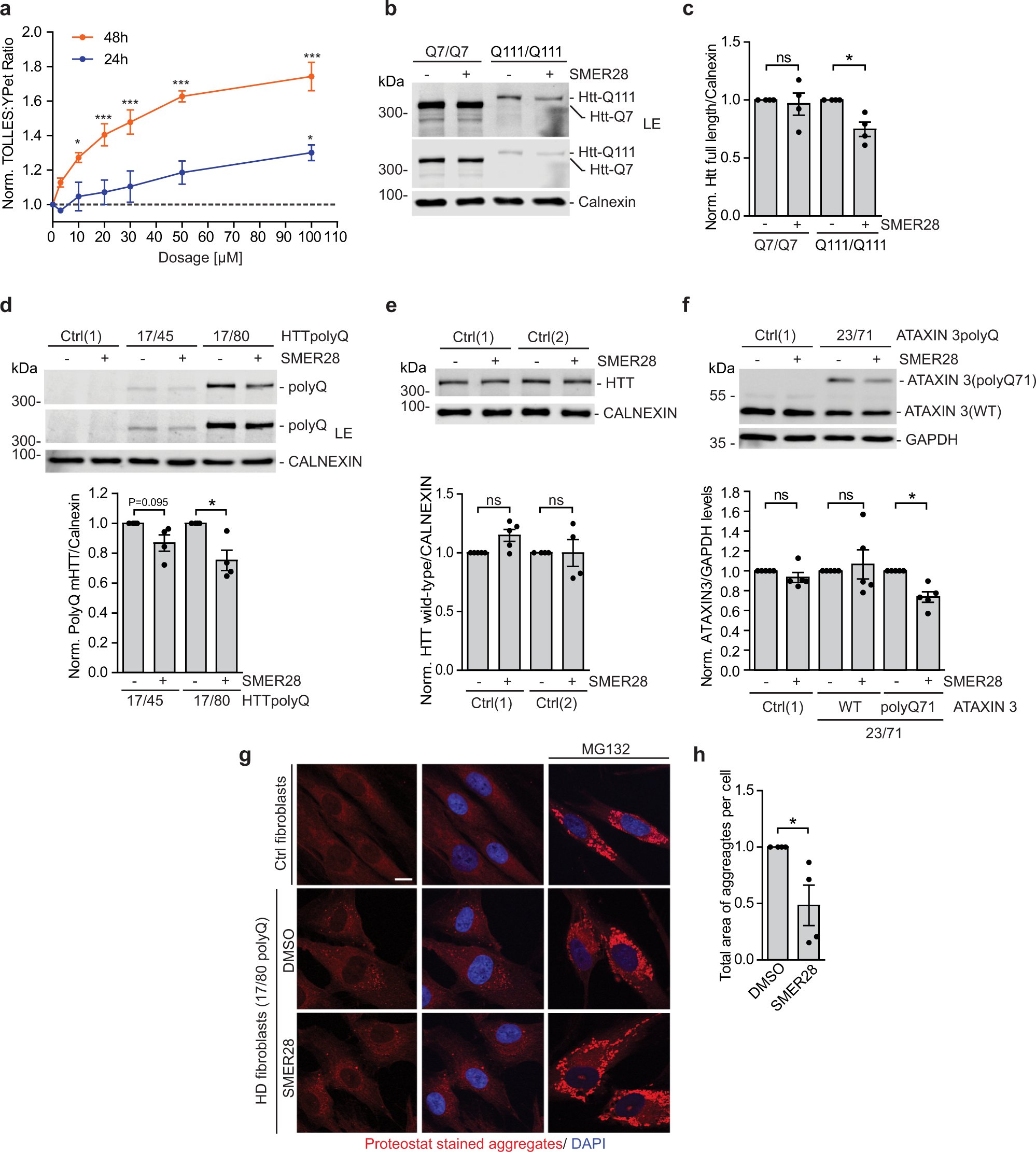 Compounds activating VCP D1 ATPase enhance both autophagic and proteasomal  neurotoxic protein clearance | Nature Communications