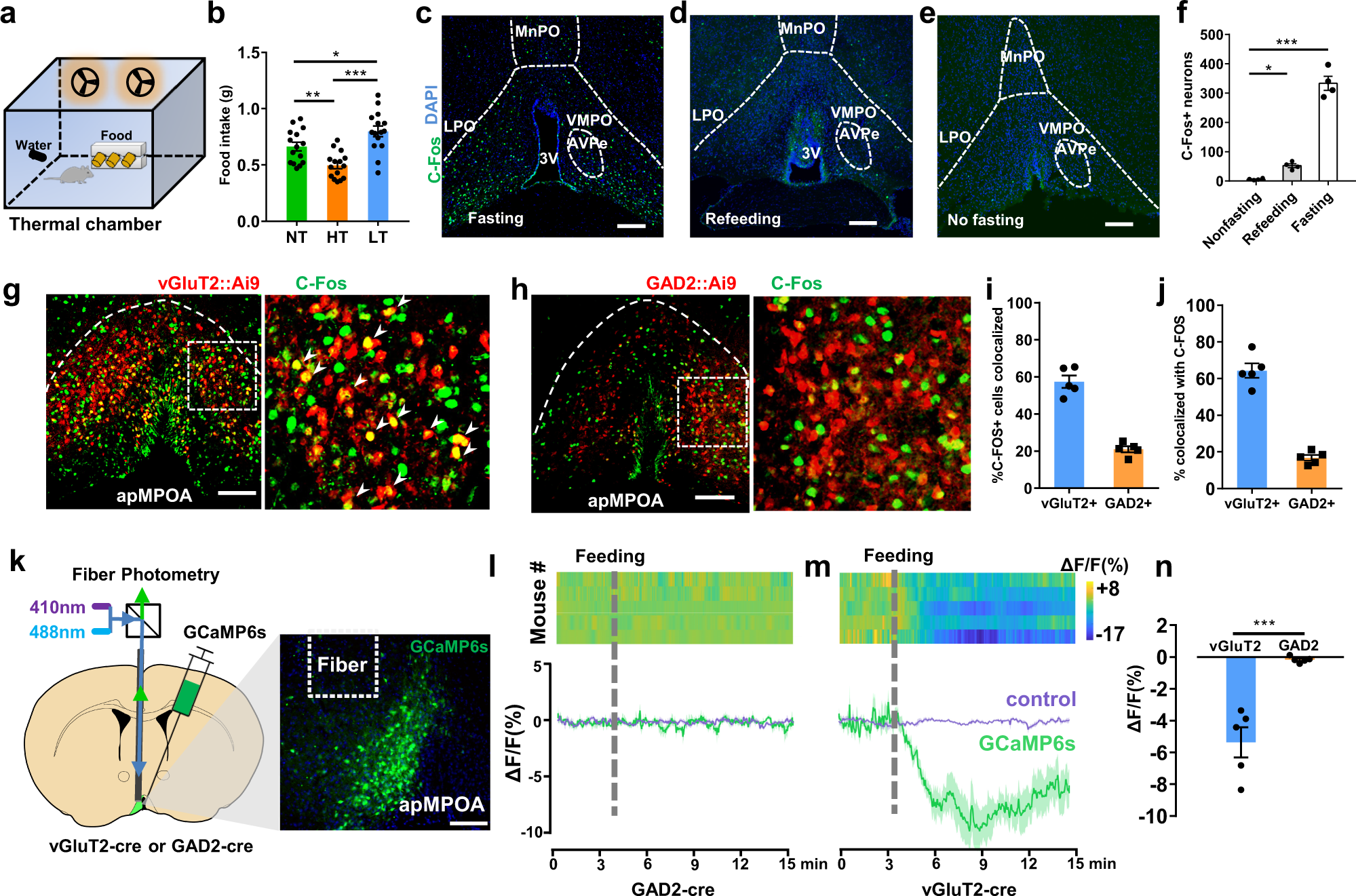 Hot Plate, Behavioral and Functional Neuroscience Laboratory