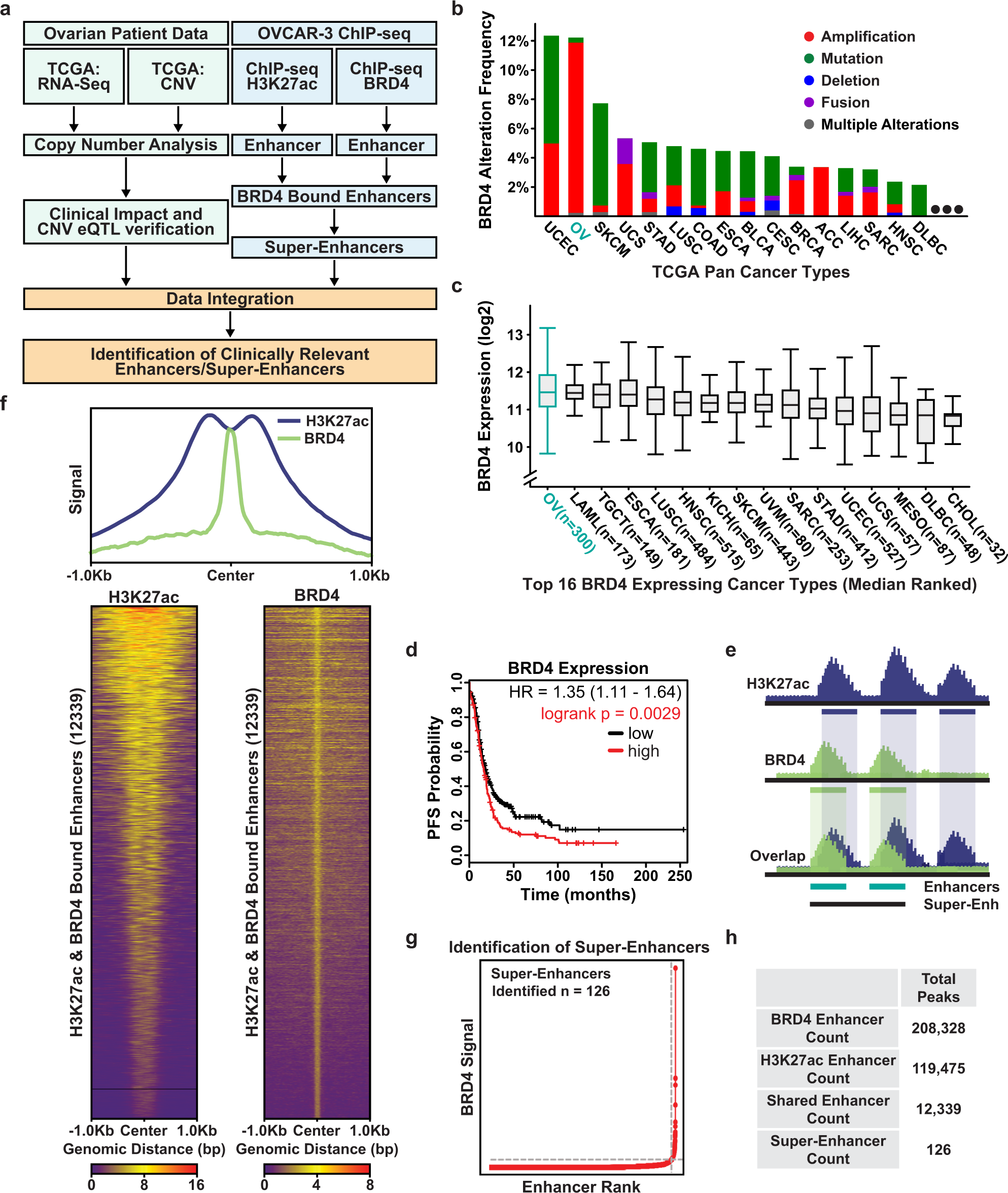 A multi-omic dissection of super-enhancer driven oncogenic gene expression  programs in ovarian cancer | Nature Communications