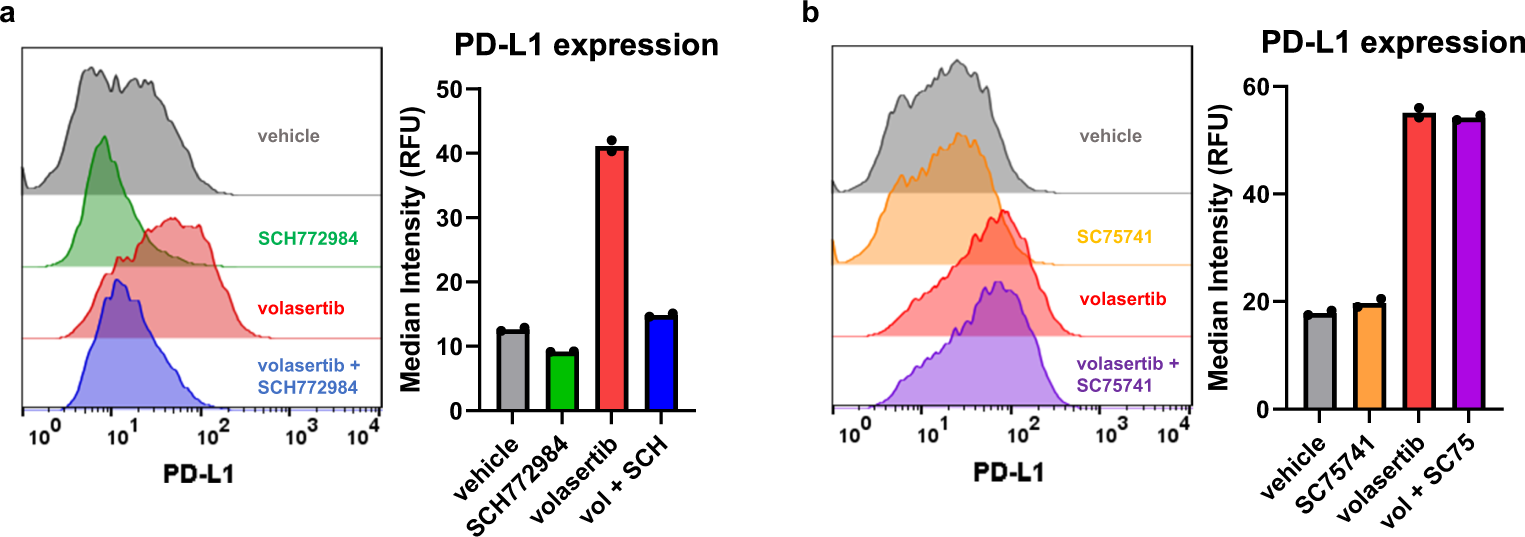 Fig. 2: Volasertib-induced PD-L1 upregulation is dependent on MAPK.