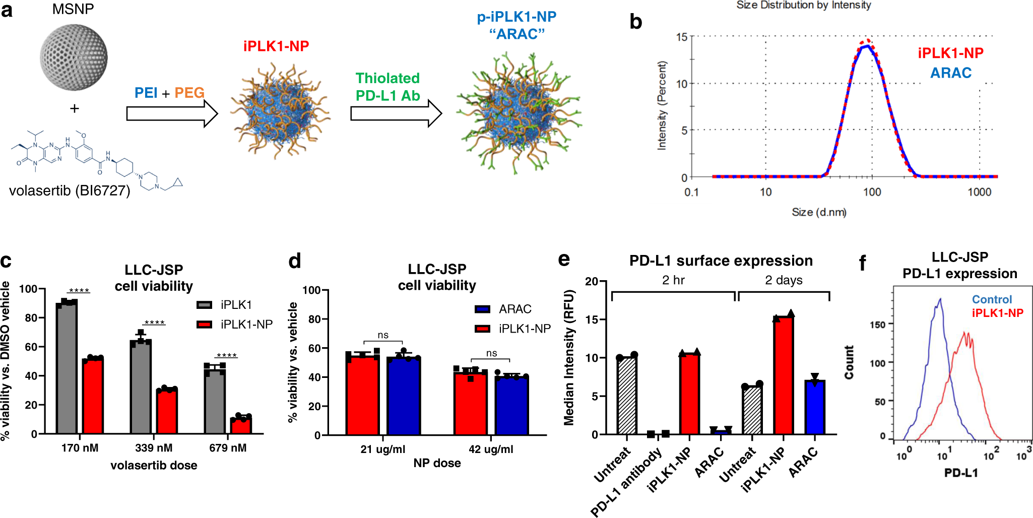 Fig. 4: PD-L1 antibody conjugated NP for delivering PLK1 inhibitor volasertib (p-iPLK1-NP; ARAC).