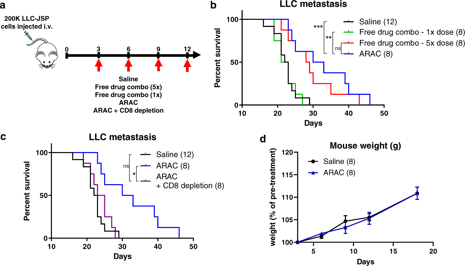 Fig. 6: ARAC improves survival of mice bearing metastatic lung tumors.