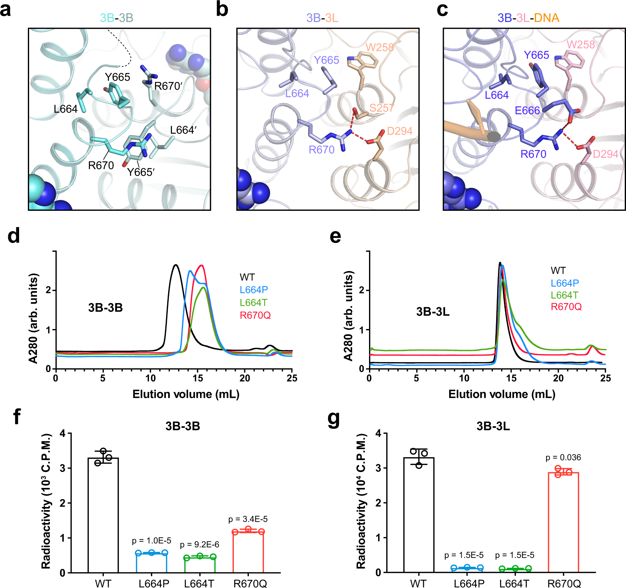 Fig. 3: Structural and biochemical analysis of the ICF mutations on the FF interface.