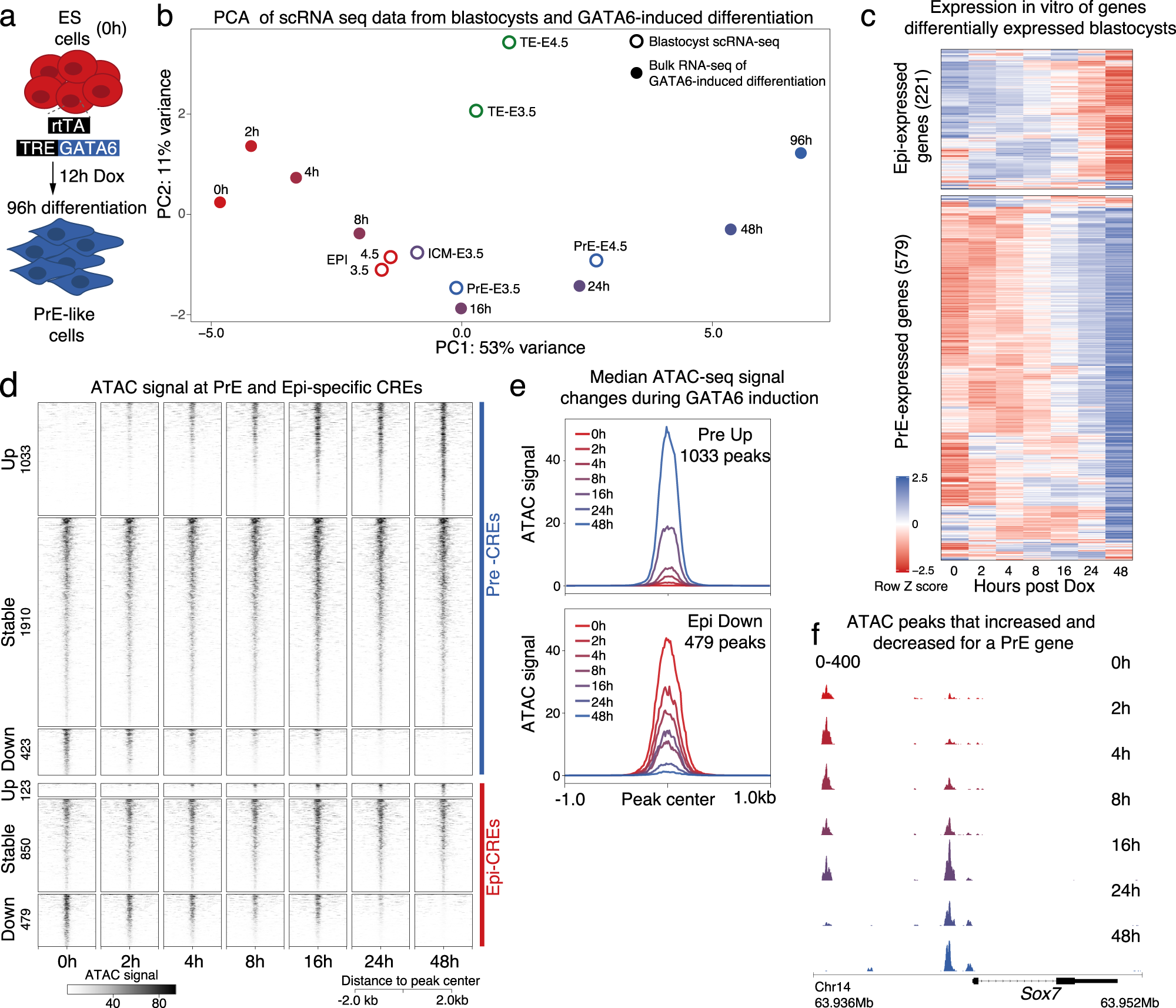Extensive co-binding and rapid redistribution of NANOG and GATA6 during  emergence of divergent lineages | Nature Communications