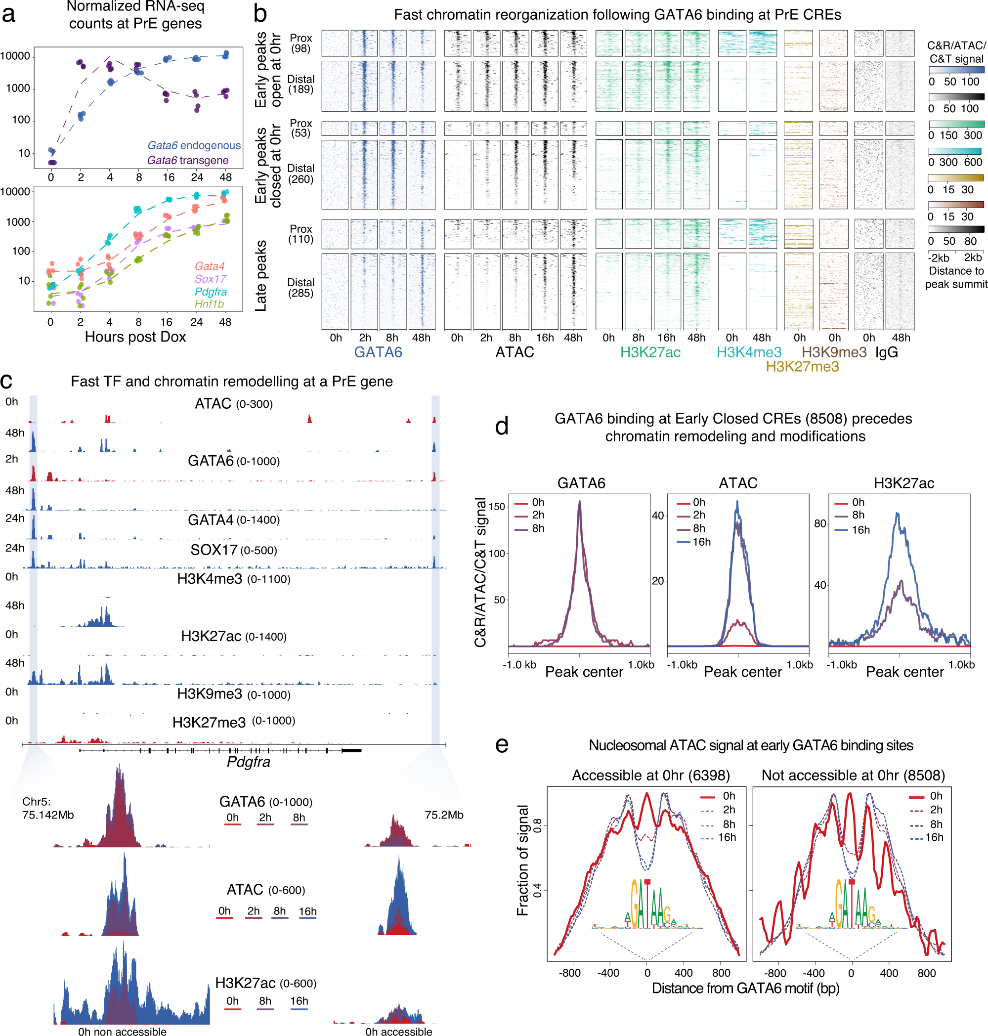 Fig. 2: GATA6 binding at PrE-specific CREs precedes nucleosomal repositioning, changes in chromatin modifications and transcriptional activation of the PrE transcriptional program.