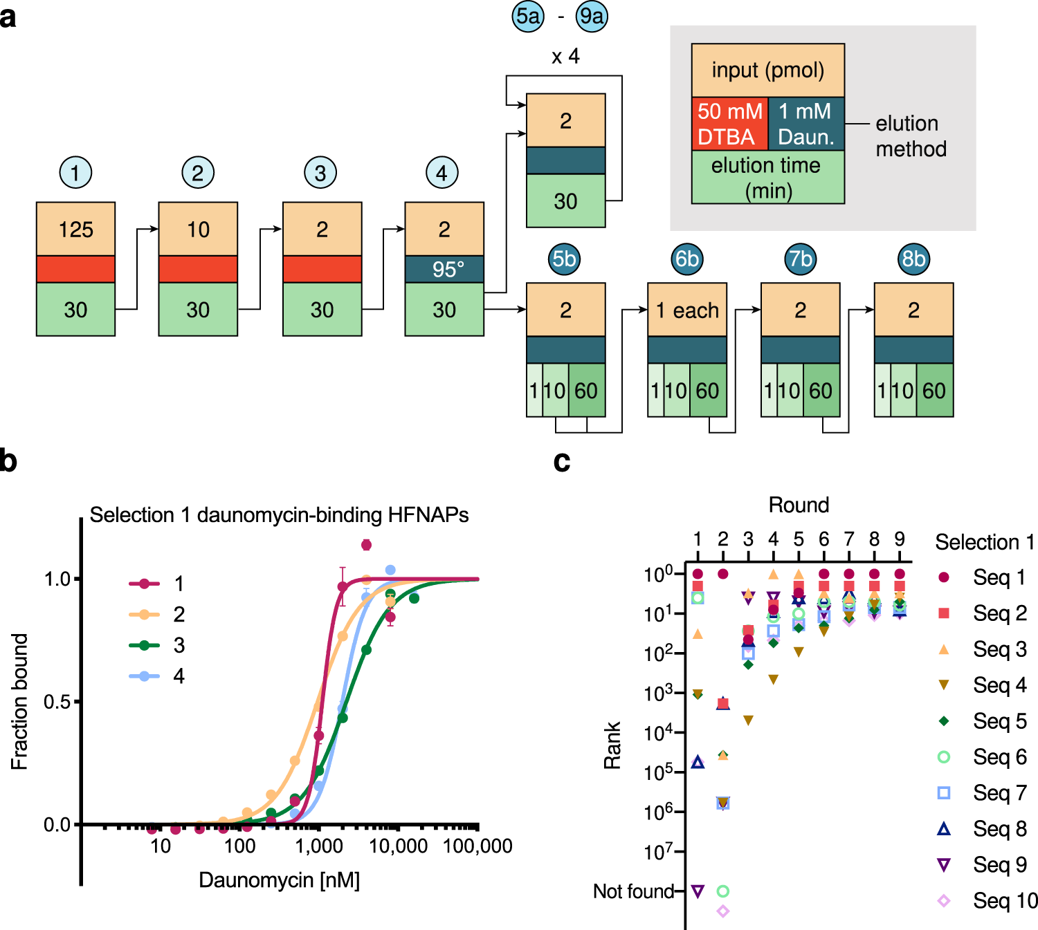 Fig. 2: Selections against daunomycin yield HFNAPs with binding affinity.