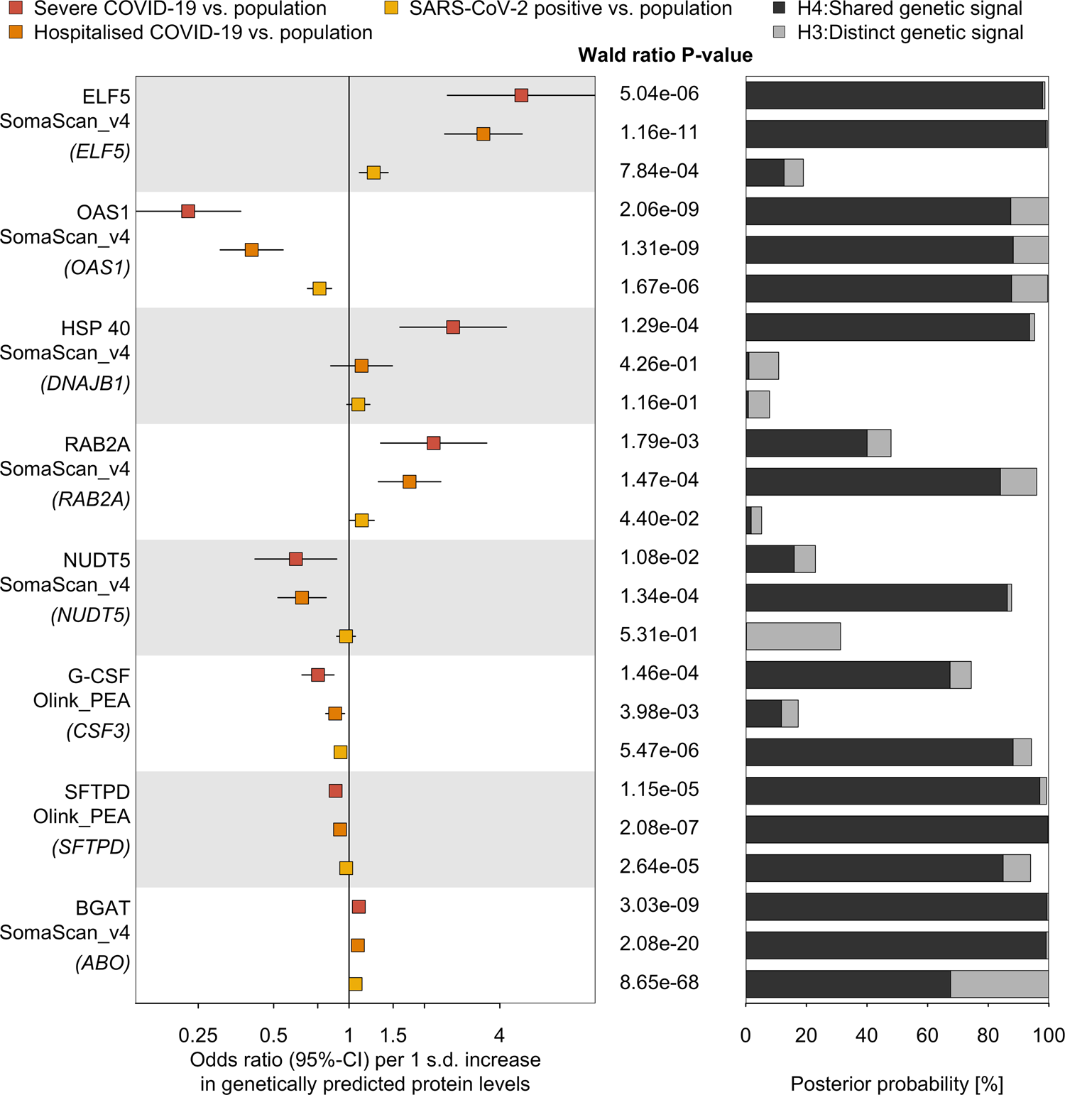 Fig. 2: Proteins genetically linked to various COVID-19 outcomes.