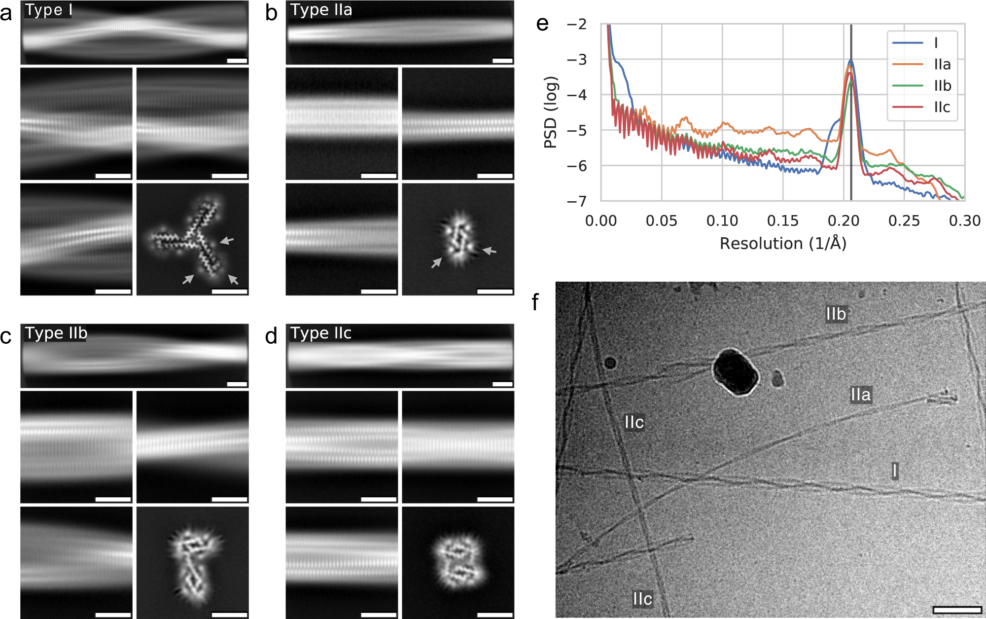 The Cryo-EM structures of two amphibian antimicrobial cross-β amyloid  fibrils | Nature Communications