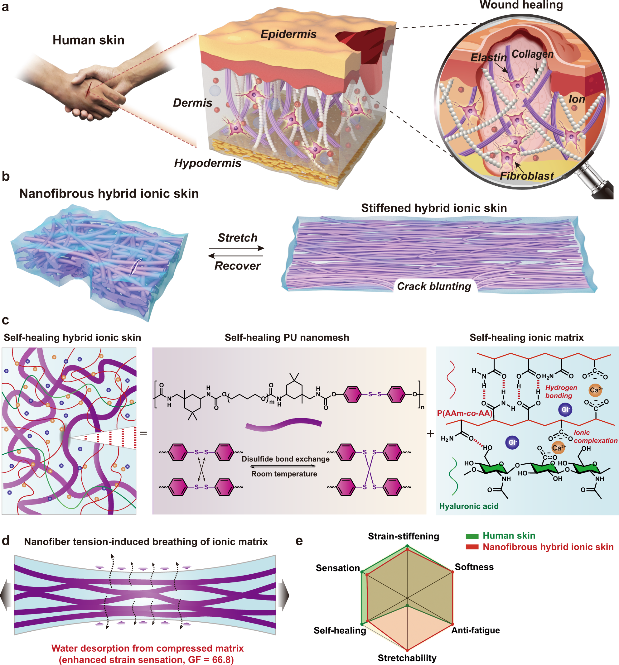 Fatigue-free artificial ionic skin toughened by self-healable elastic  nanomesh | Nature Communications