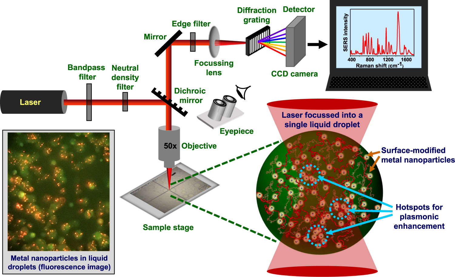 Single-droplet surface-enhanced Raman