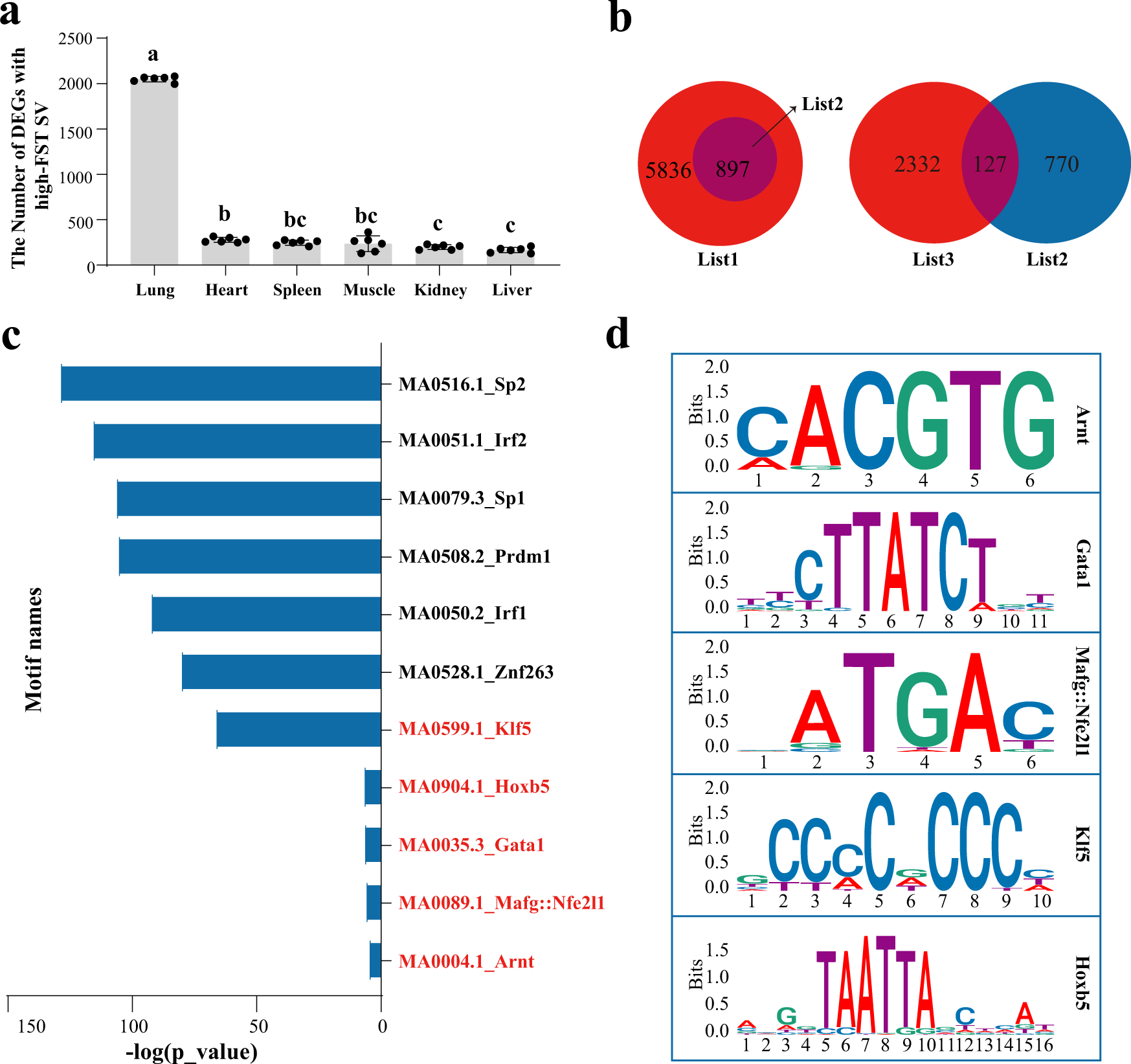 Fig. 2: Screening of candidate genes in high-altitude adaptation of yak.