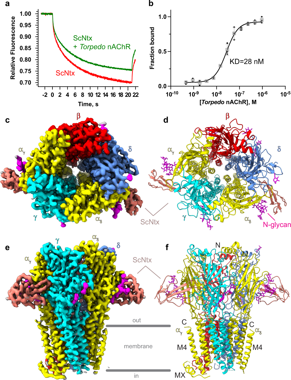 The molecular mechanism of snake short-chain α-neurotoxin binding to  muscle-type nicotinic acetylcholine receptors | Nature Communications