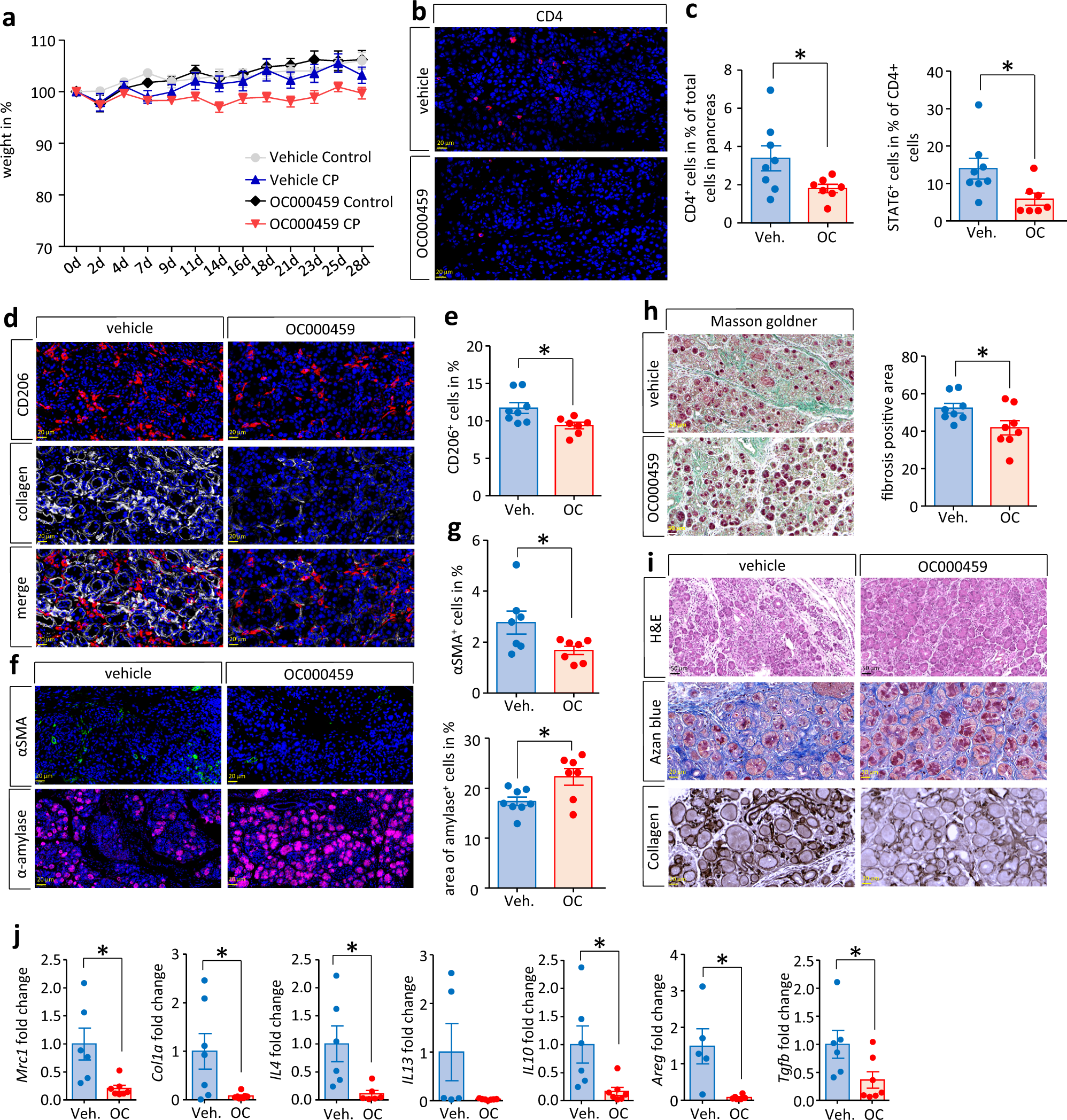 Fig. 4: Treatment with OC000459, a selective CRTH2 antagonist, mitigates the type 2 immune response.