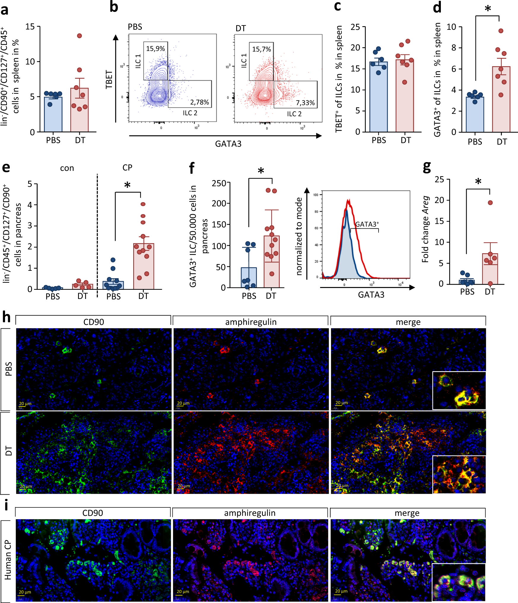 Fig. 8: ILC2 are suppressed by regulatory T cells.