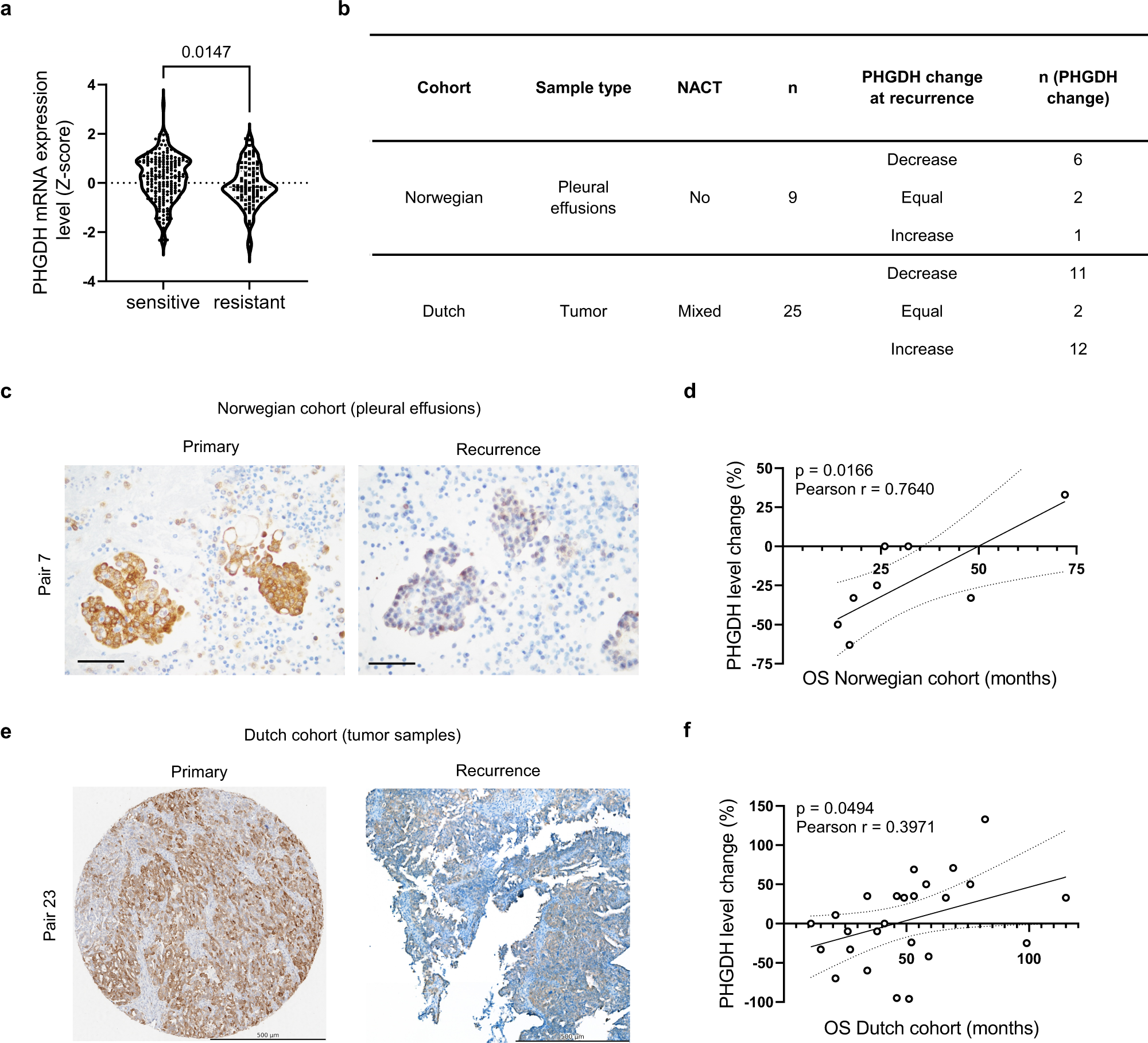 Serine metabolism remodeling after platinum-based chemotherapy